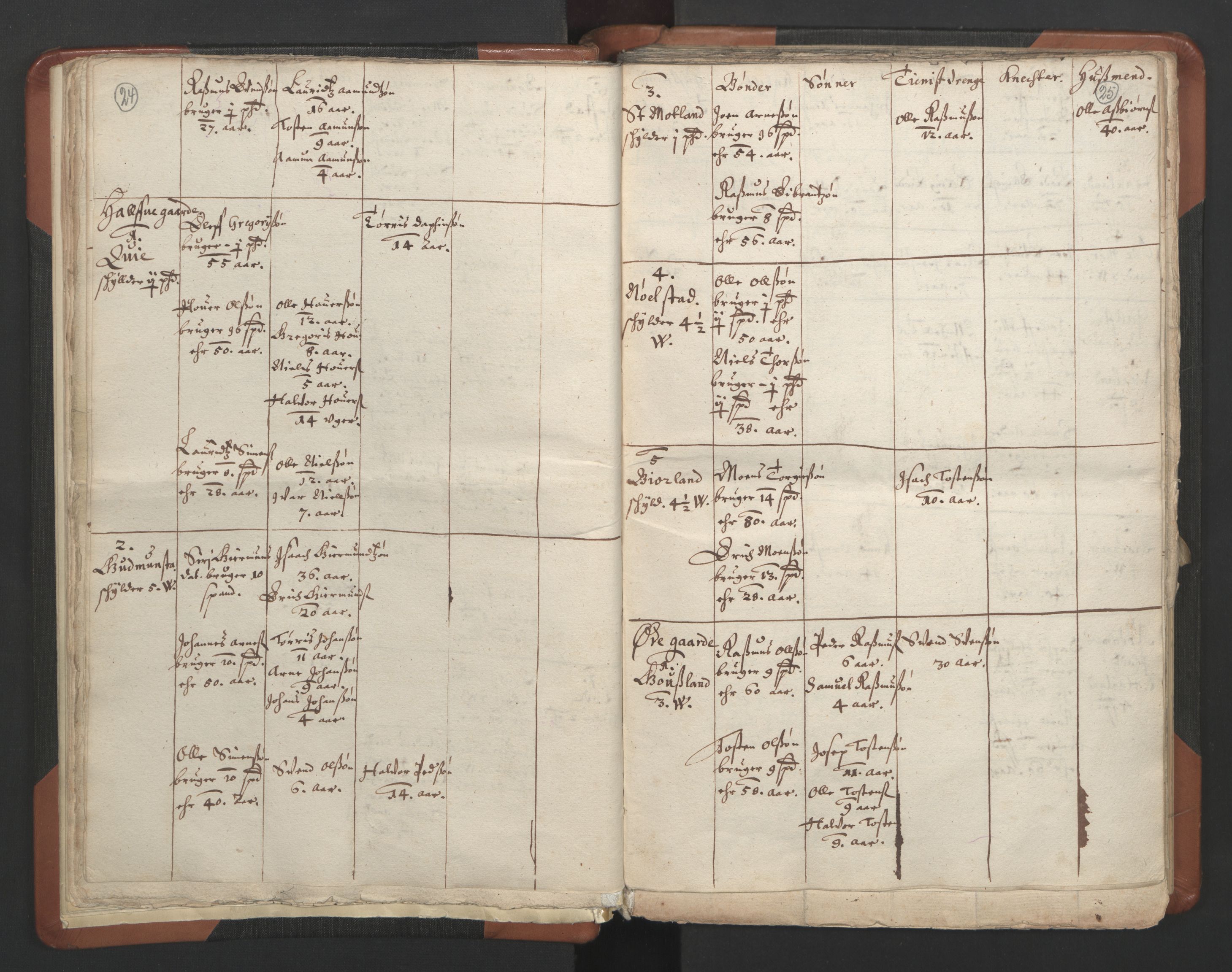 RA, Vicar's Census 1664-1666, no. 17: Jæren deanery and Dalane deanery, 1664-1666, p. 24-25