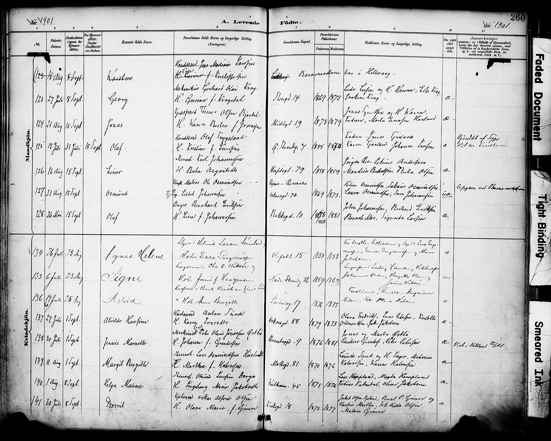 Domkirken sokneprestkontor, SAST/A-101812/001/30/30BA/L0030: Parish register (official) no. A 29, 1889-1902, p. 260