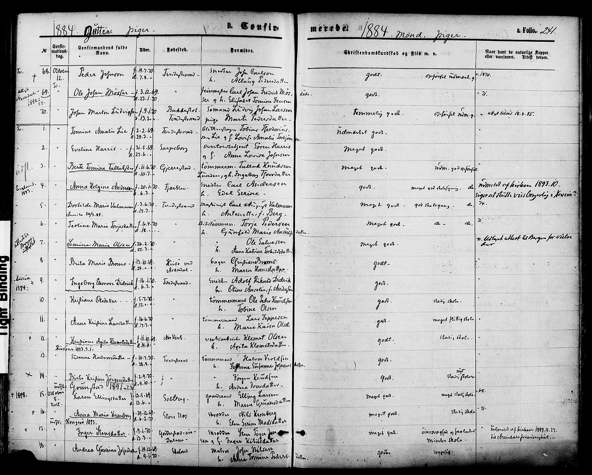 Holt sokneprestkontor, SAK/1111-0021/F/Fa/L0010: Parish register (official) no. A 10, 1872-1885, p. 241