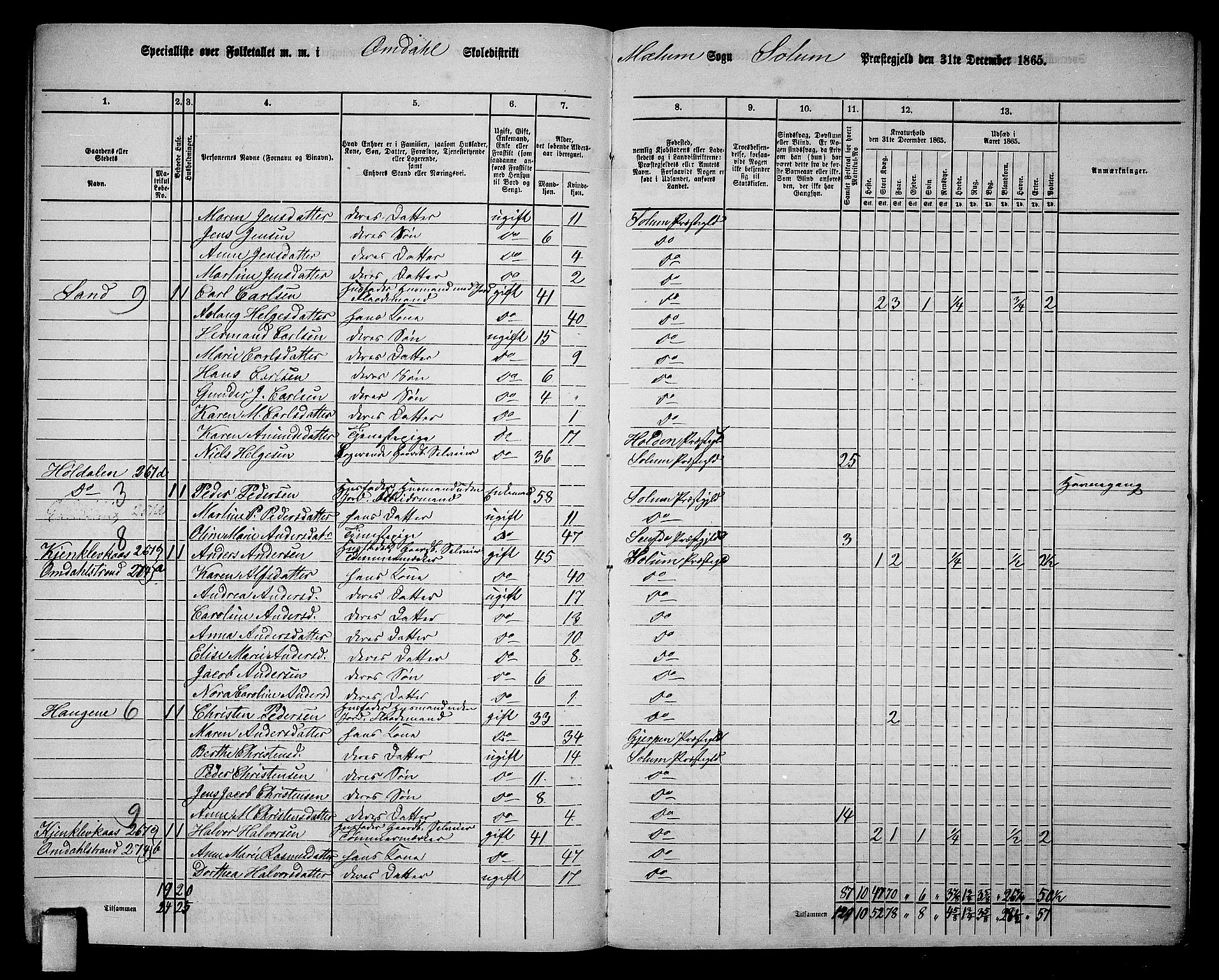 RA, 1865 census for Solum, 1865, p. 208