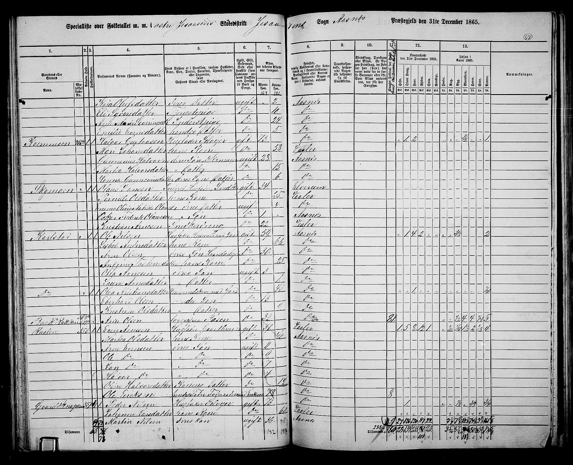 RA, 1865 census for Åsnes, 1865, p. 63