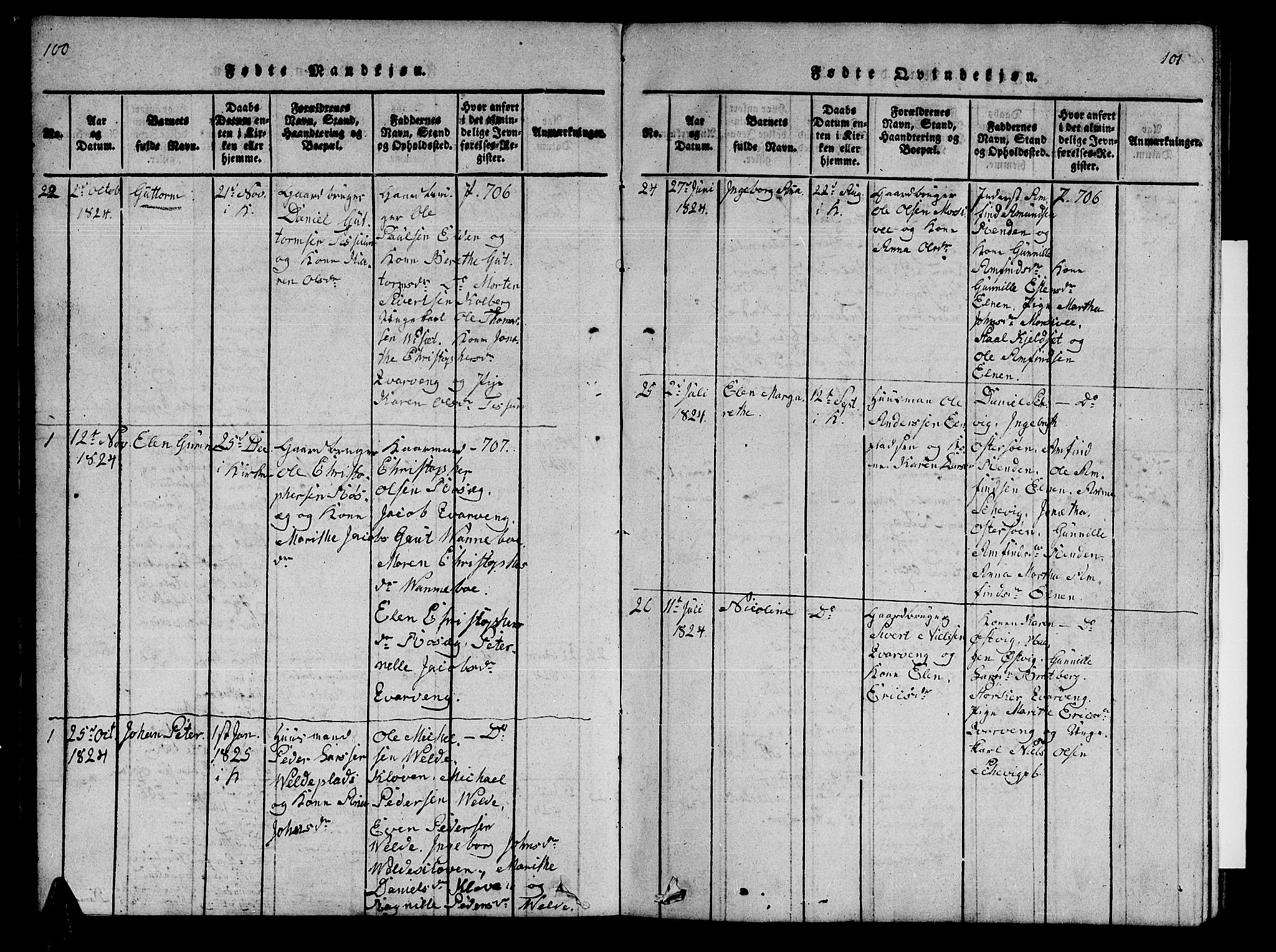 Ministerialprotokoller, klokkerbøker og fødselsregistre - Nord-Trøndelag, SAT/A-1458/741/L0400: Parish register (copy) no. 741C01, 1817-1825, p. 100-101