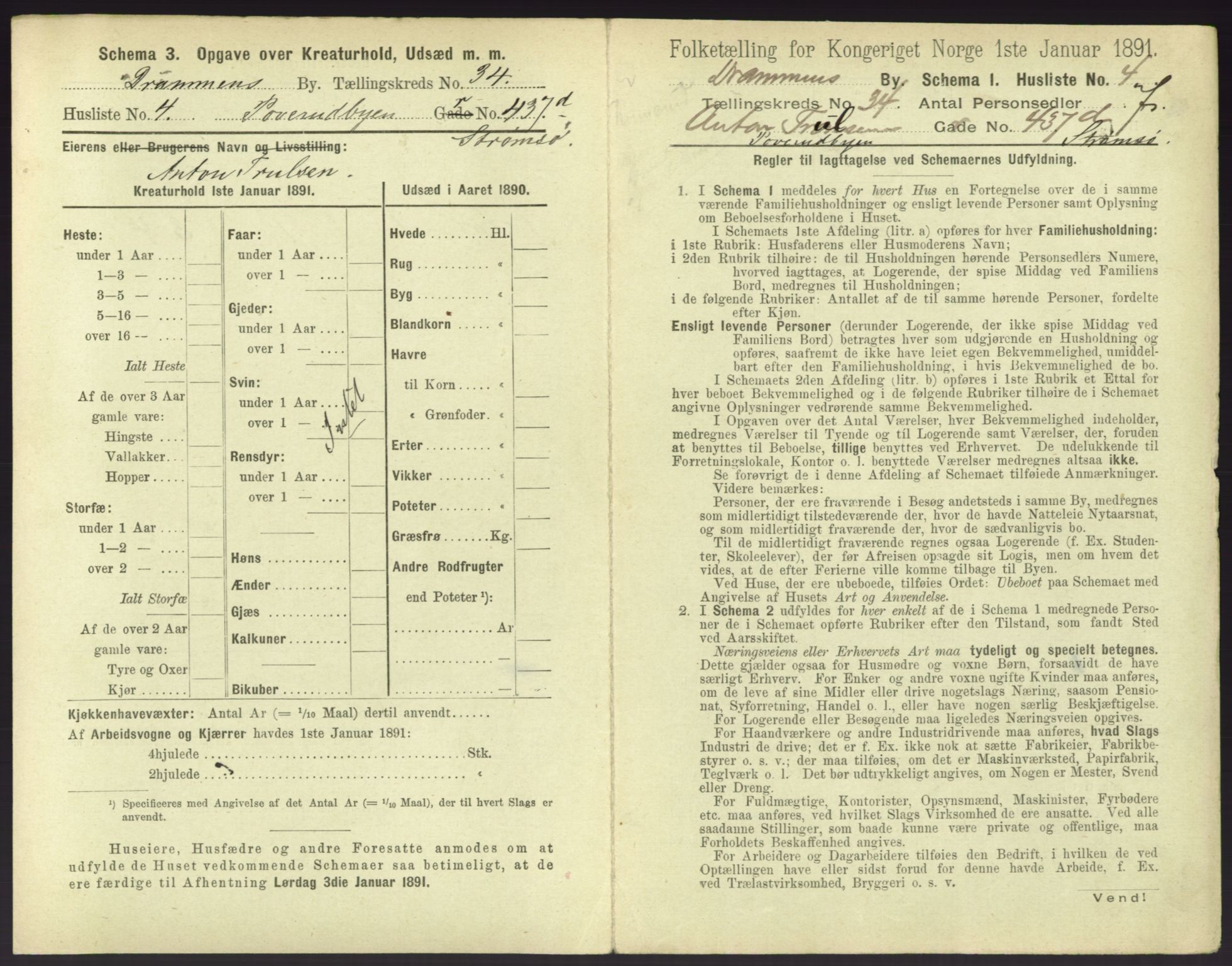 RA, 1891 census for 0602 Drammen, 1891, p. 3001