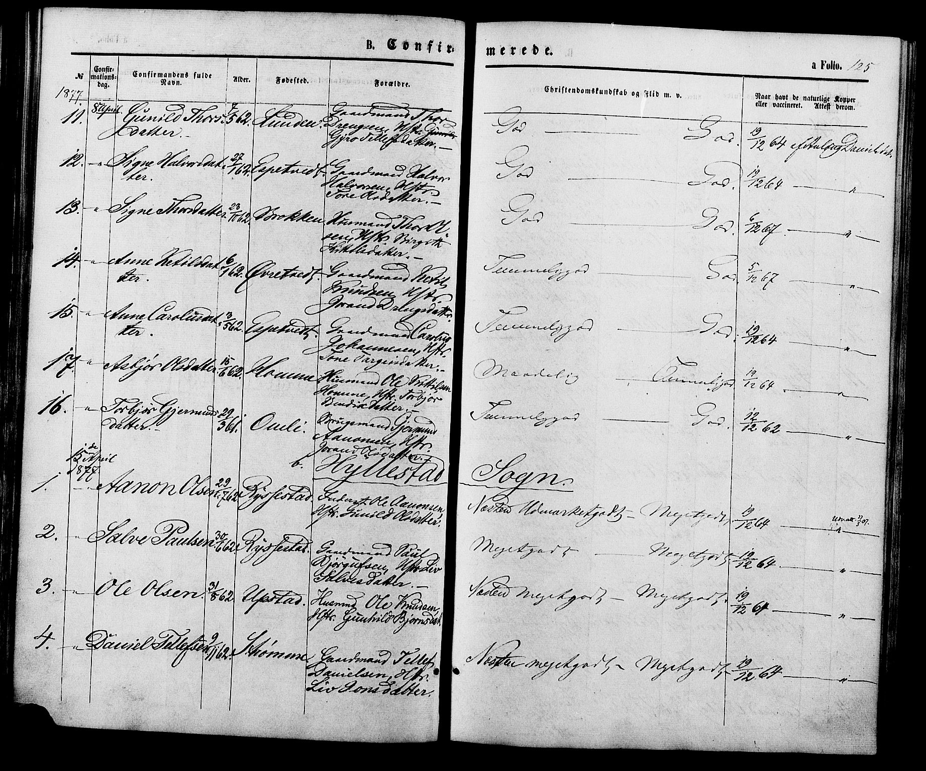 Valle sokneprestkontor, AV/SAK-1111-0044/F/Fa/Fac/L0008: Parish register (official) no. A 8, 1868-1882, p. 125