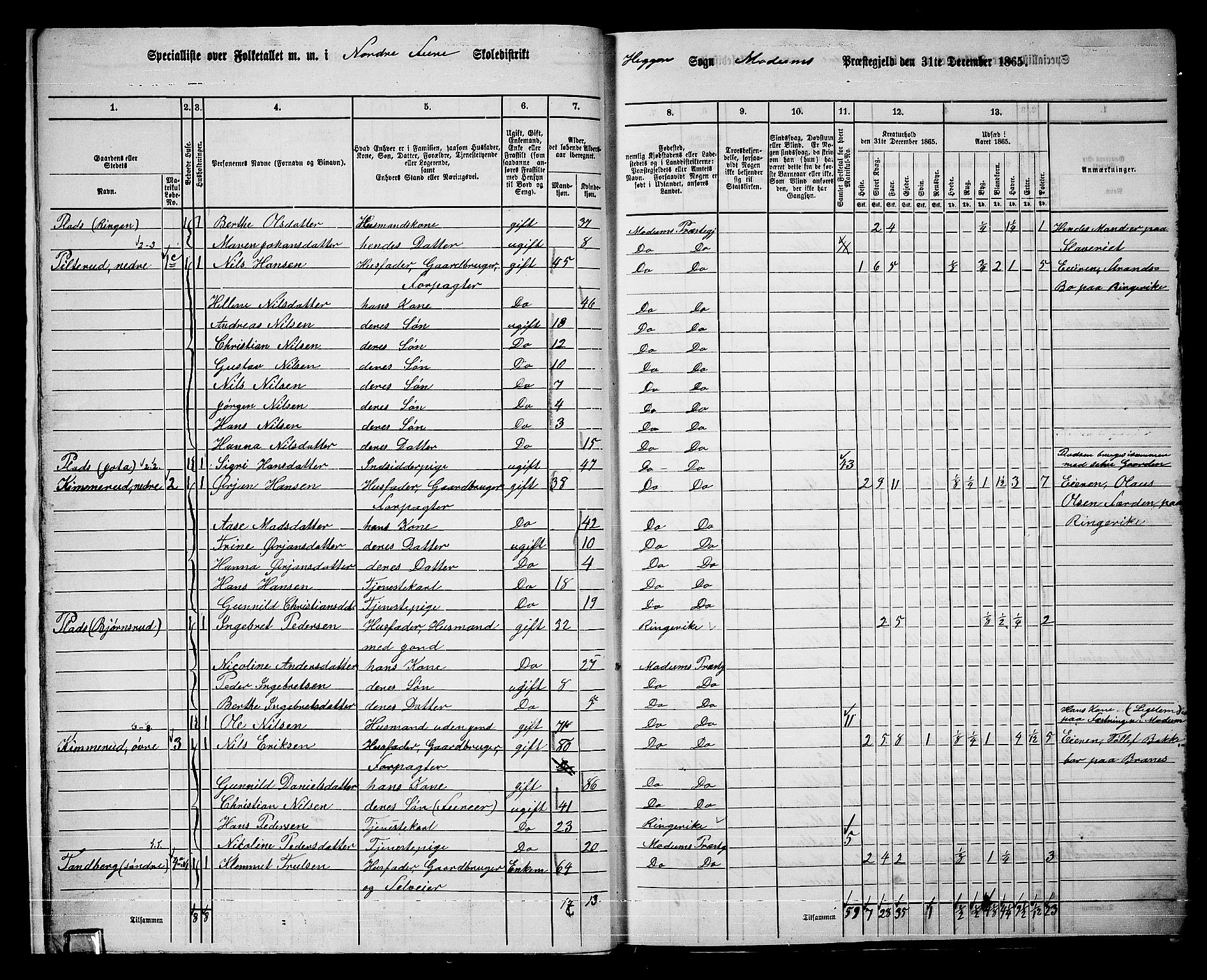 RA, 1865 census for Modum, 1865, p. 19