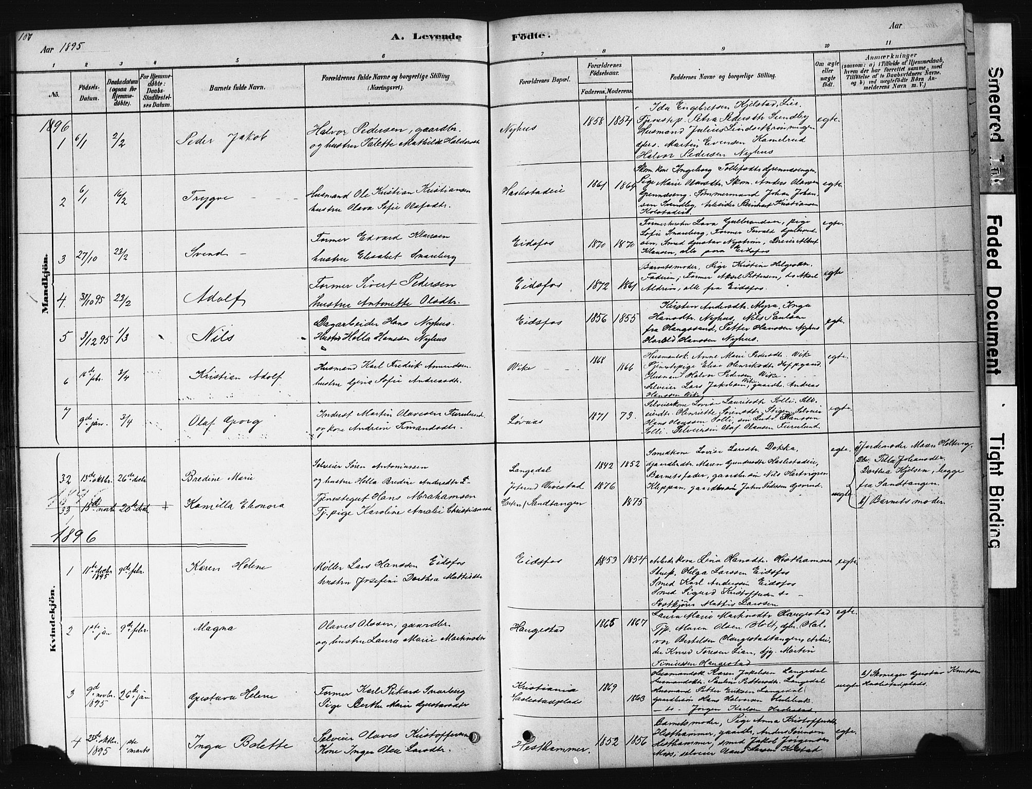 Hof kirkebøker, AV/SAKO-A-64/G/Ga/L0004: Parish register (copy) no. I 4, 1878-1930, p. 107