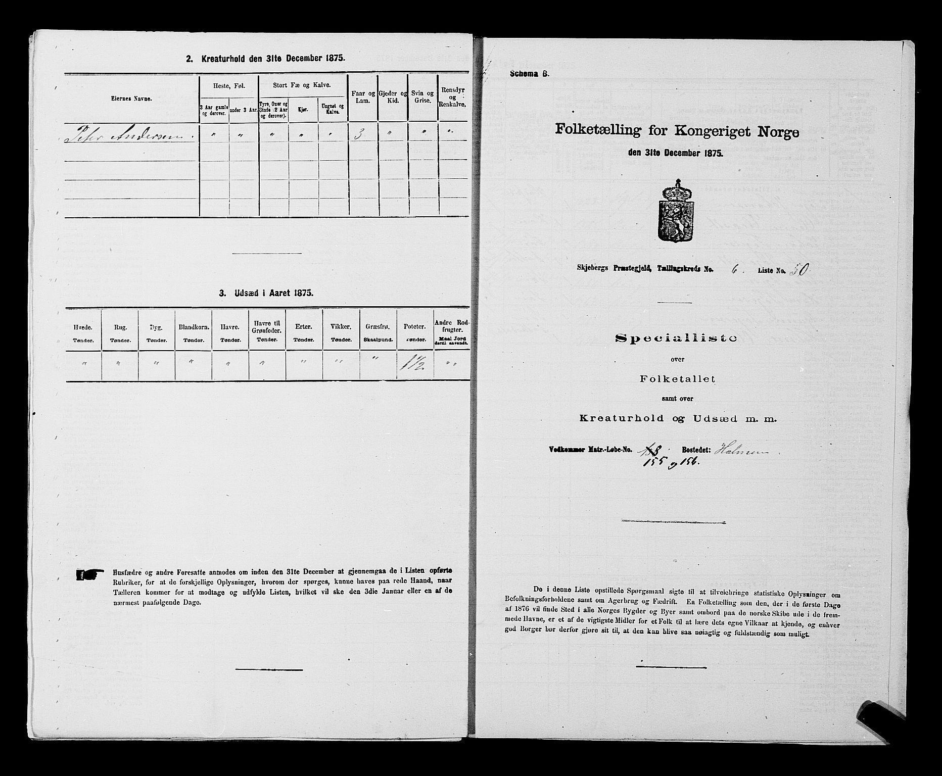 RA, 1875 census for 0115P Skjeberg, 1875, p. 1165