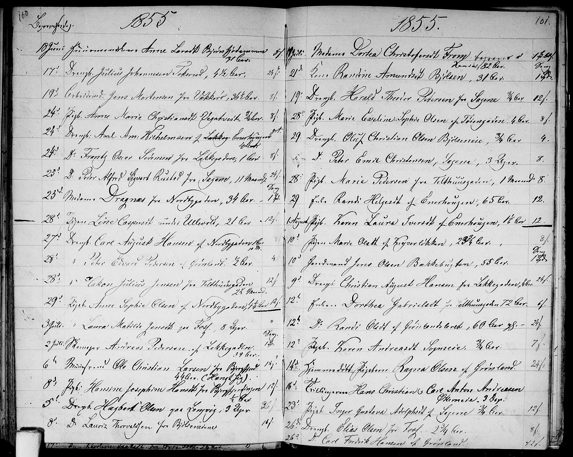 Aker prestekontor kirkebøker, AV/SAO-A-10861/G/L0012: Parish register (copy) no. 12, 1846-1860, p. 100-101