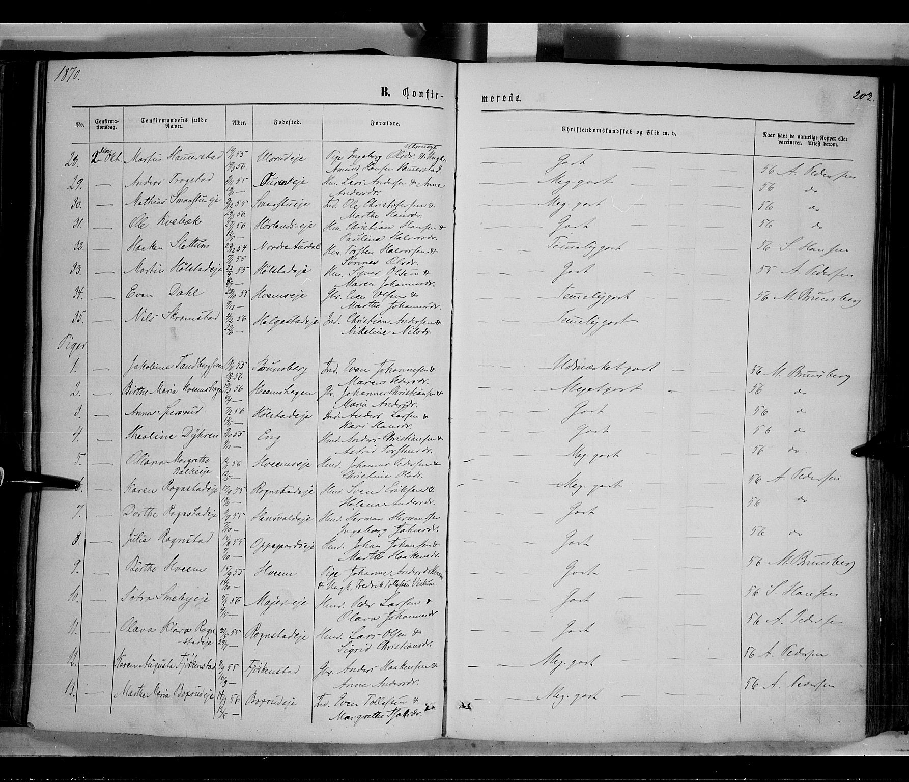 Østre Toten prestekontor, SAH/PREST-104/H/Ha/Haa/L0005: Parish register (official) no. 5, 1866-1877, p. 203