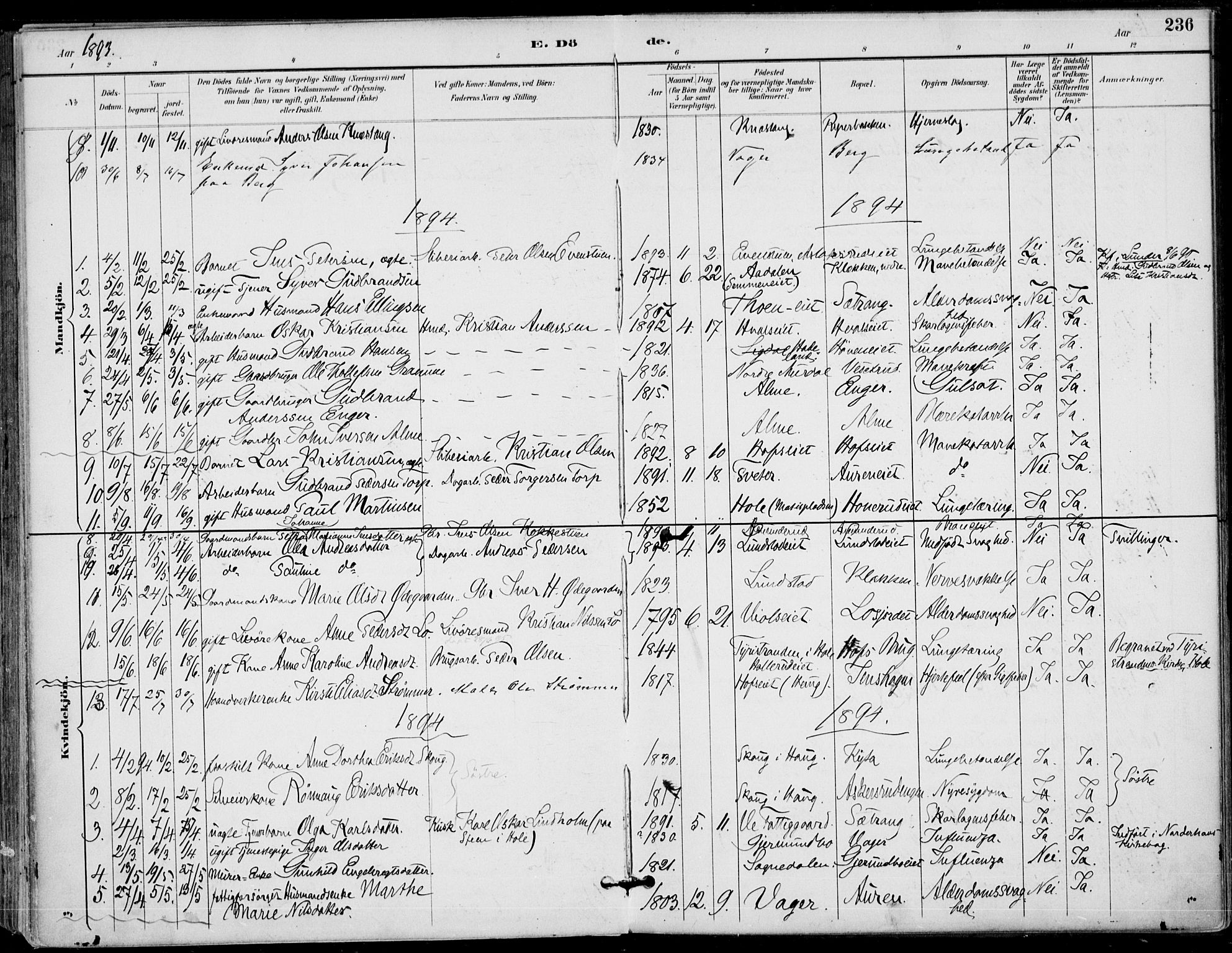 Haug kirkebøker, AV/SAKO-A-604/F/Fa/L0001: Parish register (official) no. 1, 1885-1917, p. 236