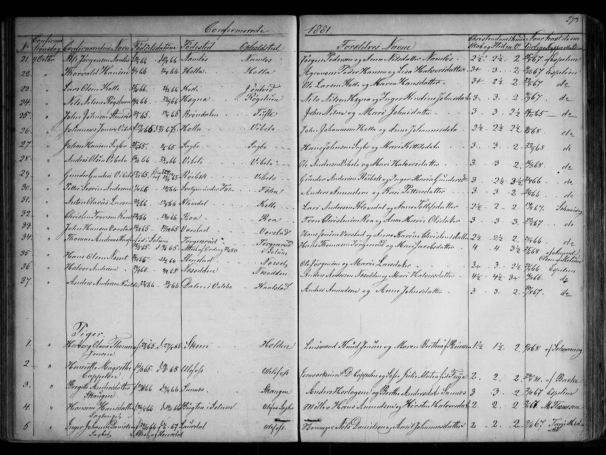 Holla kirkebøker, AV/SAKO-A-272/G/Ga/L0004: Parish register (copy) no. I 4, 1867-1890, p. 273