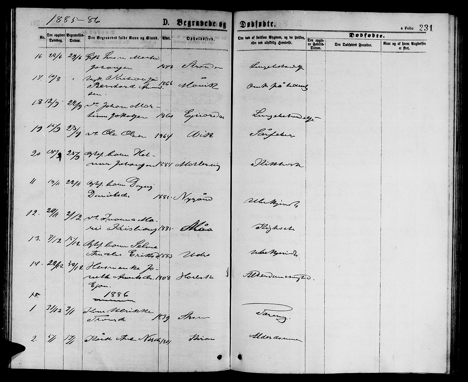 Ministerialprotokoller, klokkerbøker og fødselsregistre - Sør-Trøndelag, SAT/A-1456/657/L0715: Parish register (copy) no. 657C02, 1873-1888, p. 231
