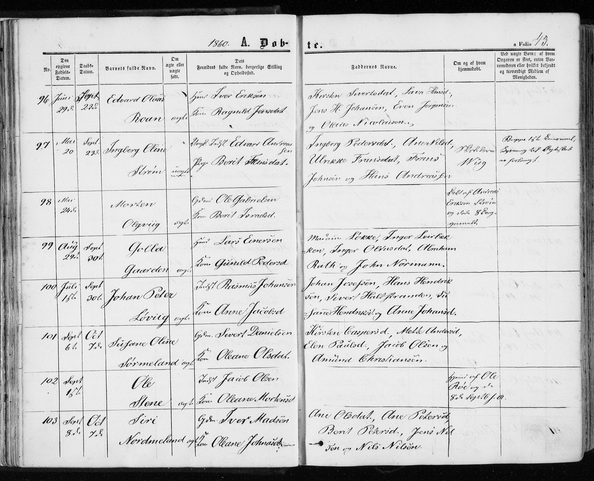 Ministerialprotokoller, klokkerbøker og fødselsregistre - Sør-Trøndelag, AV/SAT-A-1456/657/L0705: Parish register (official) no. 657A06, 1858-1867, p. 43