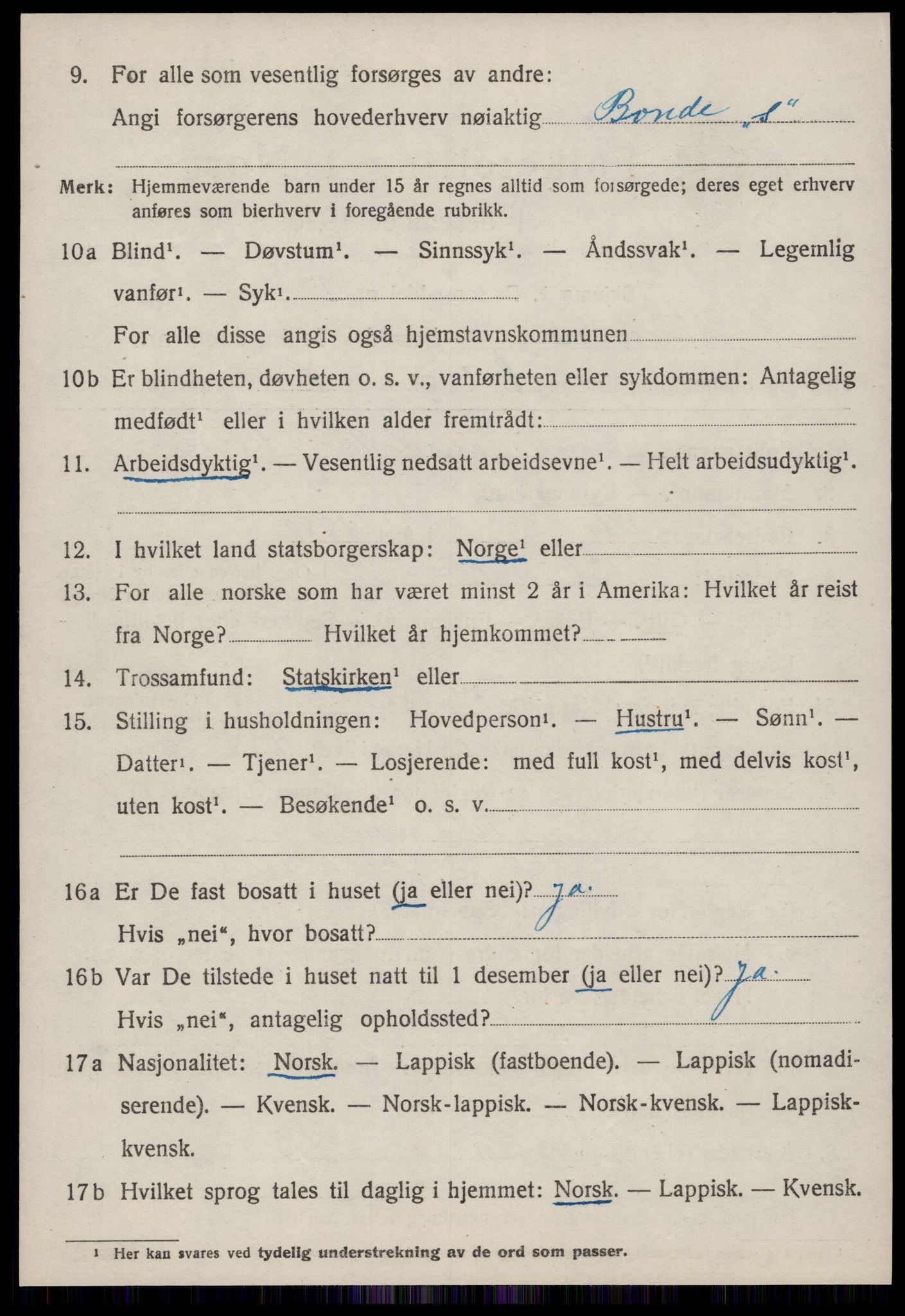 SAT, 1920 census for Rennebu, 1920, p. 1263