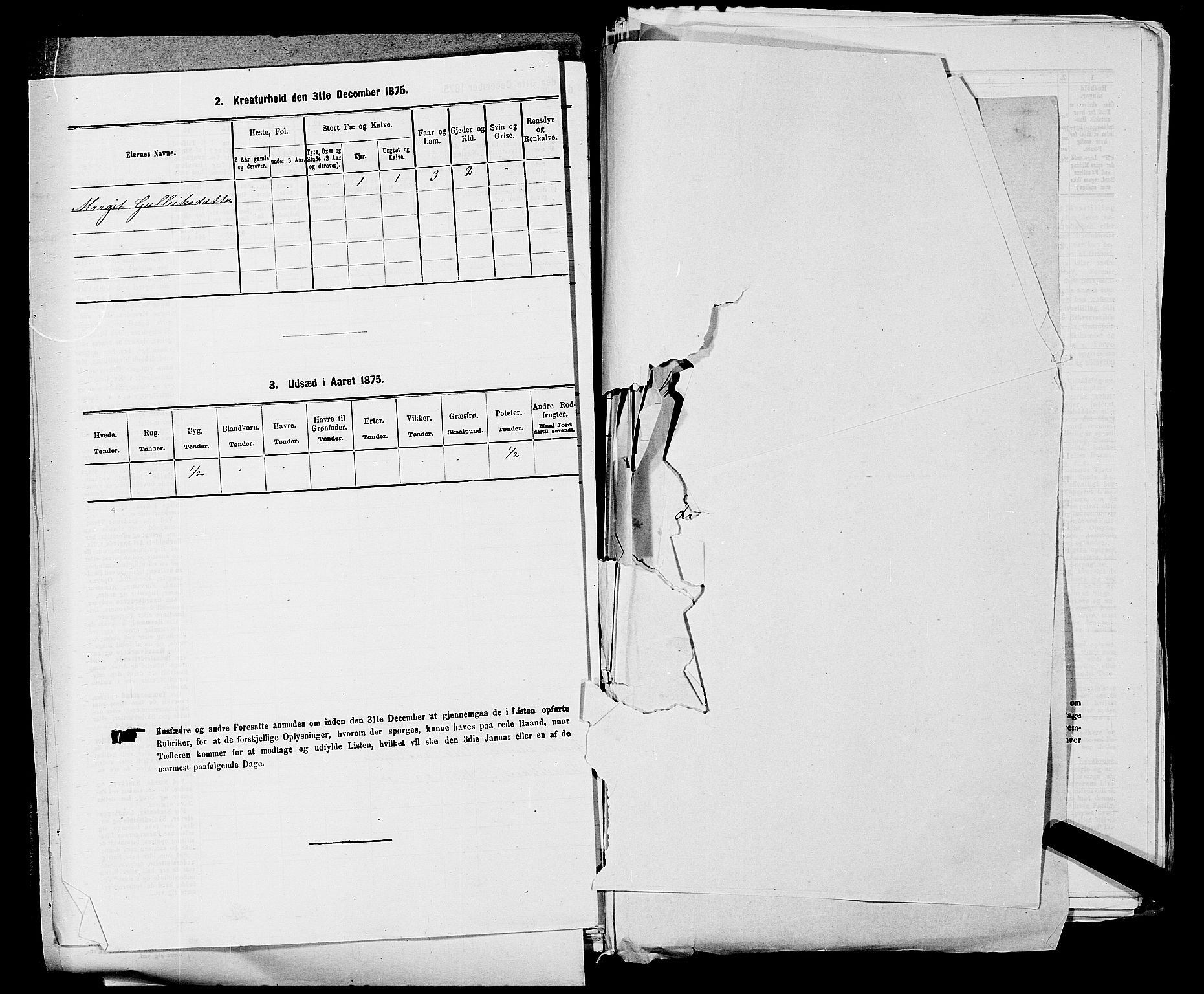 SAKO, 1875 census for 0616P Nes, 1875, p. 646