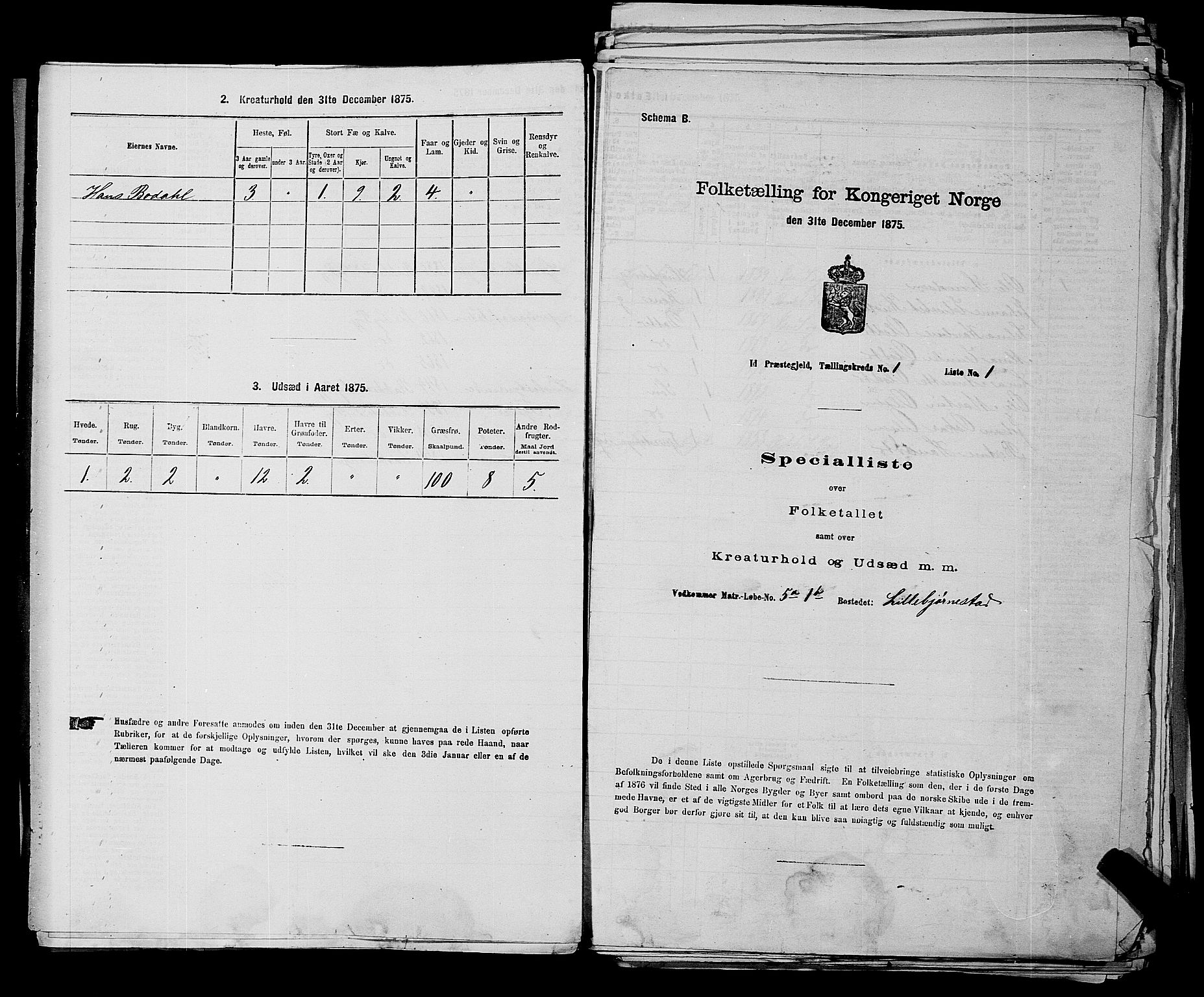 RA, 1875 census for 0117P Idd, 1875, p. 64