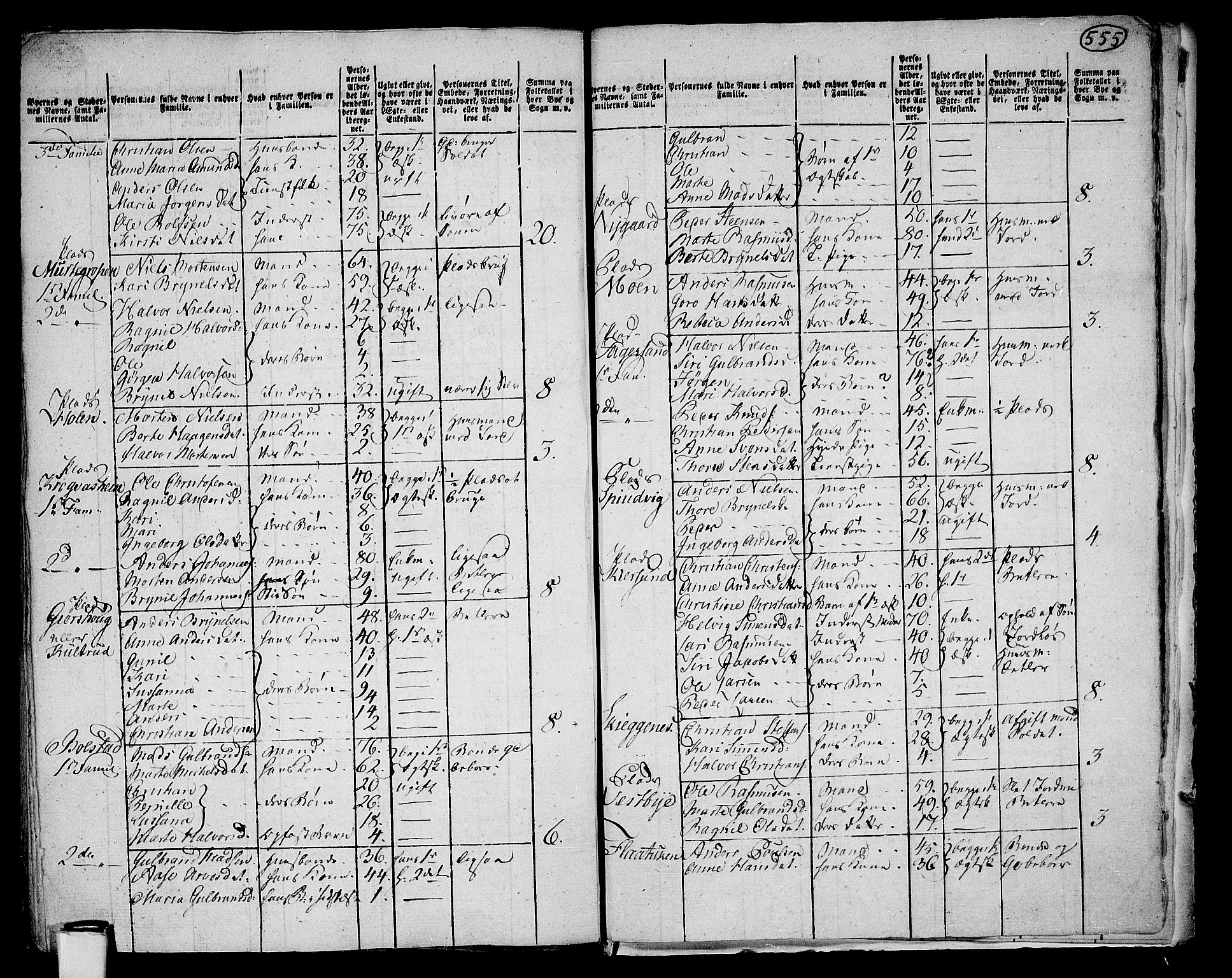 RA, 1801 census for 0221P Høland, 1801, p. 554b-555a