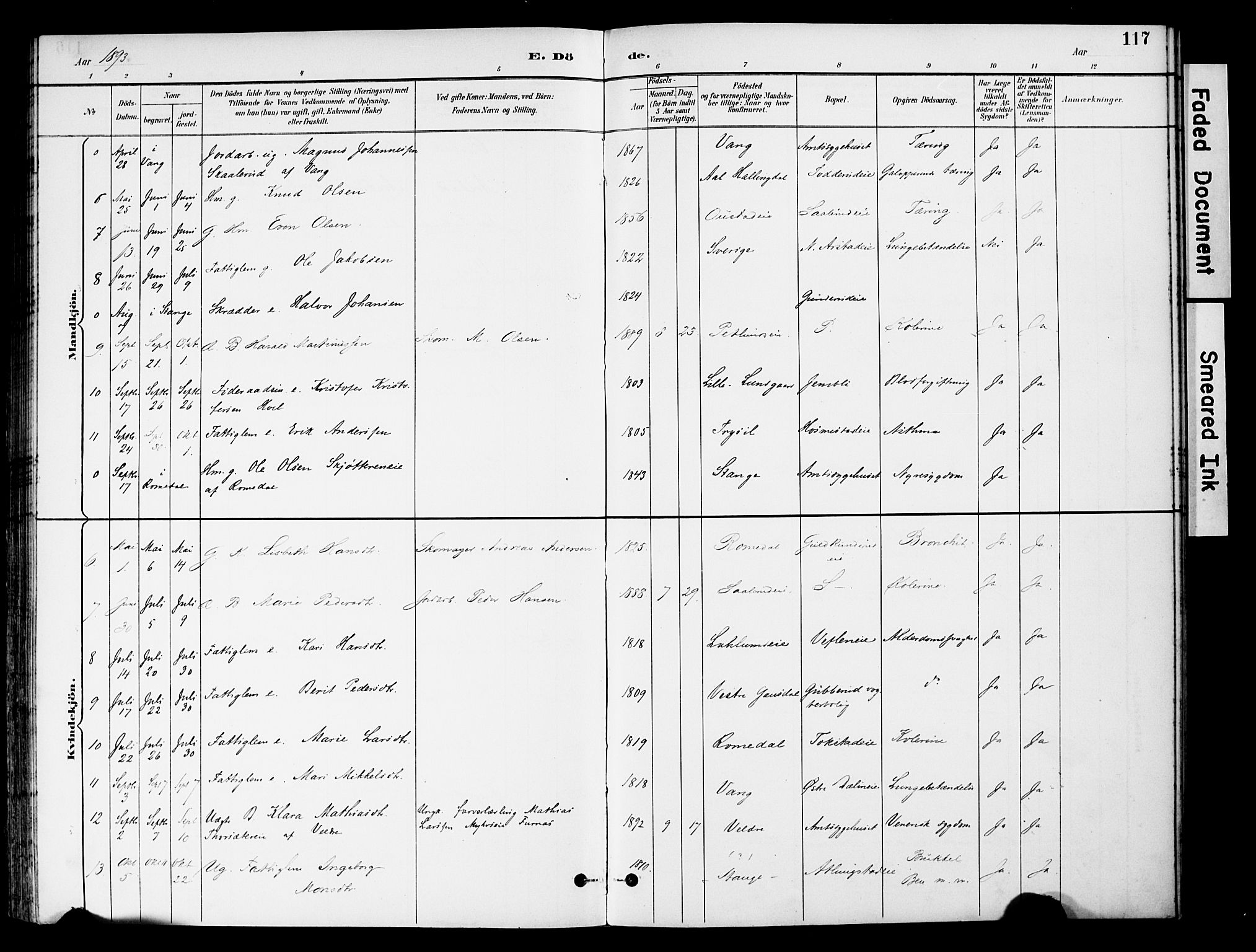 Stange prestekontor, AV/SAH-PREST-002/K/L0021: Parish register (official) no. 21, 1891-1902, p. 117