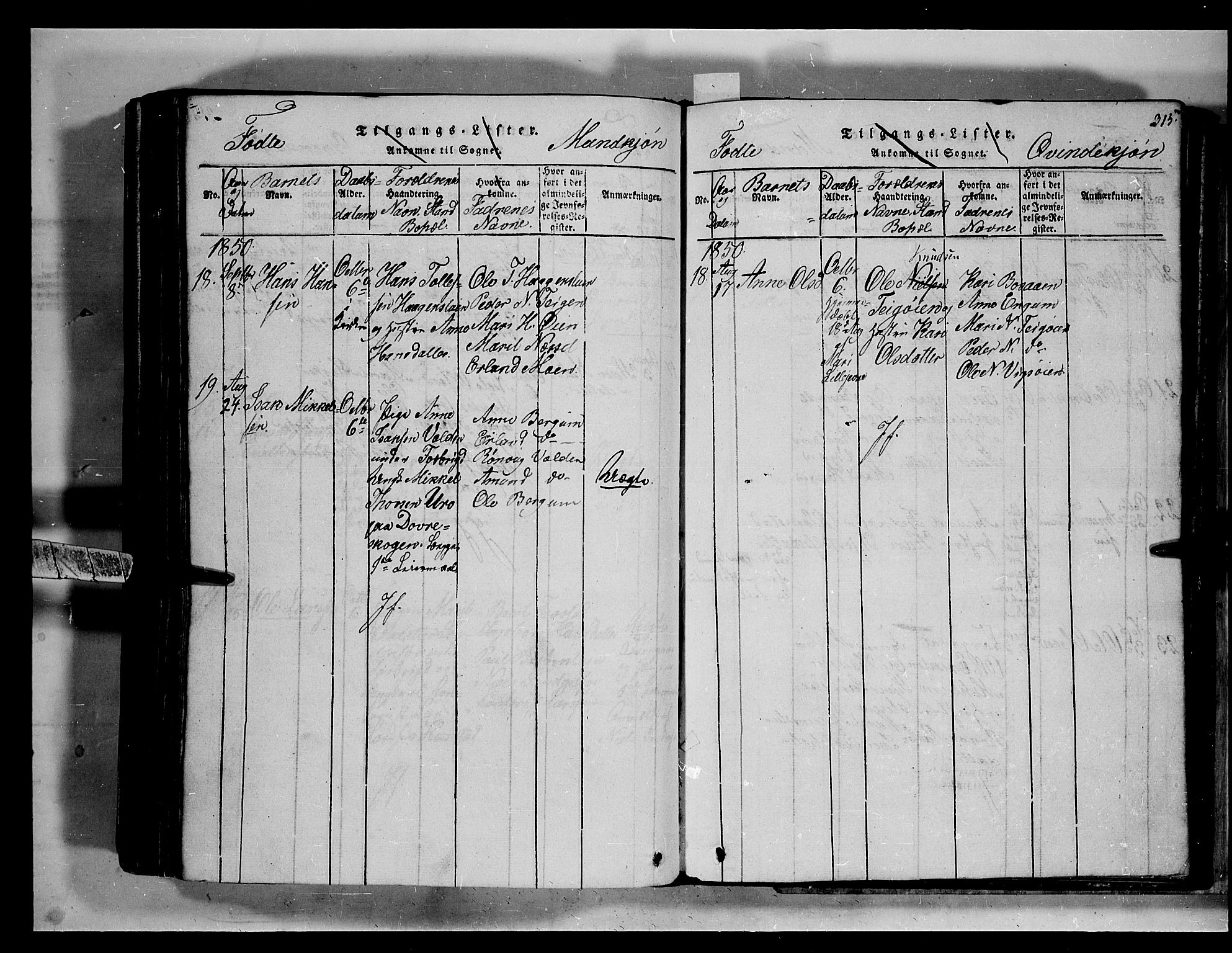 Fron prestekontor, AV/SAH-PREST-078/H/Ha/Hab/L0002: Parish register (copy) no. 2, 1816-1850, p. 315