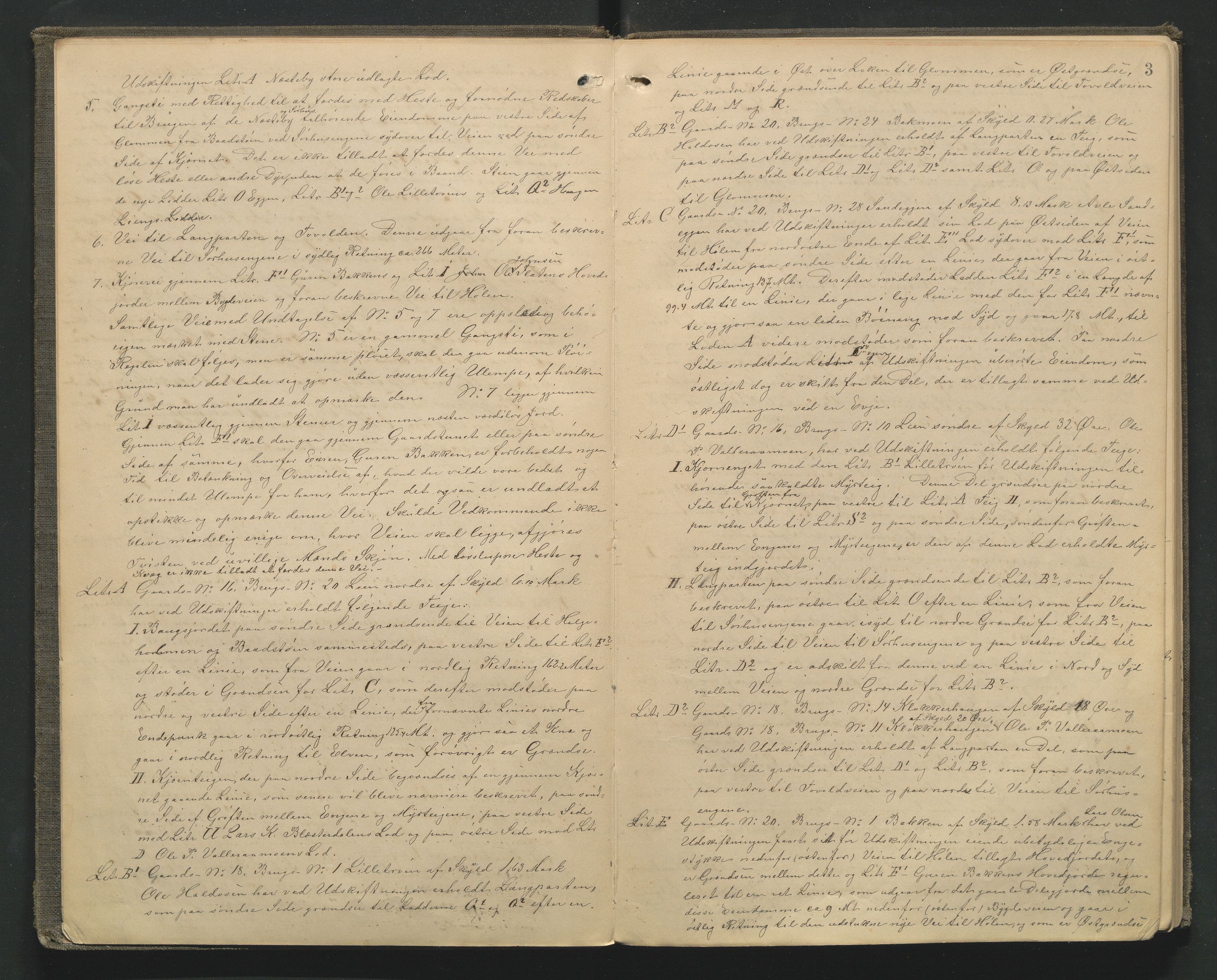 Utskiftningsformannen i Hedmark fylke, AV/SAH-JORDSKIFTEH-001/H/Ha/L0005/0001: Forhandlingsprotokoller, nr. 8 og 10 / Forhandlingsprotokoll nr. 8, 1894-1898