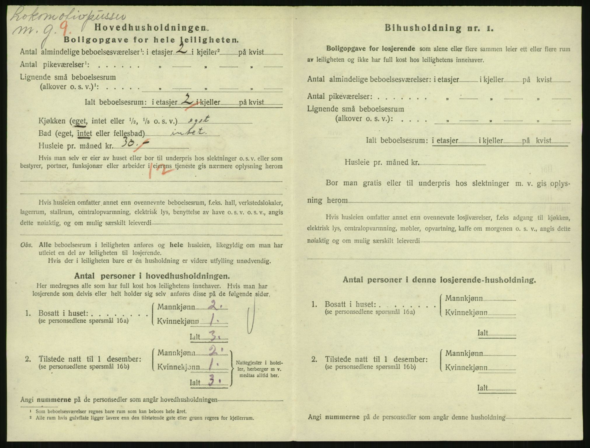 SAH, 1920 census for Lillehammer, 1920, p. 3191