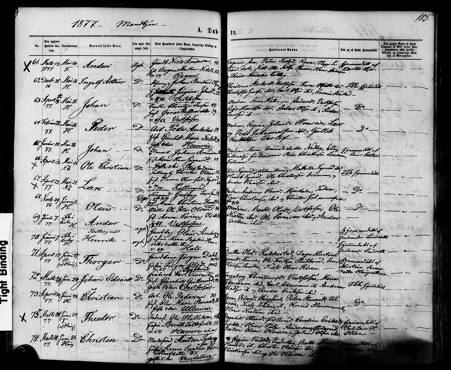 Eiker kirkebøker, AV/SAKO-A-4/F/Fa/L0017: Parish register (official) no. I 17, 1869-1877, p. 185