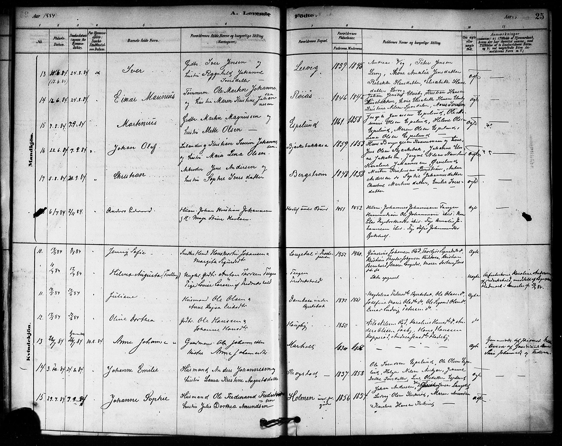 Aremark prestekontor Kirkebøker, SAO/A-10899/F/Fa/L0005: Parish register (official) no. I 5, 1878-1897, p. 25