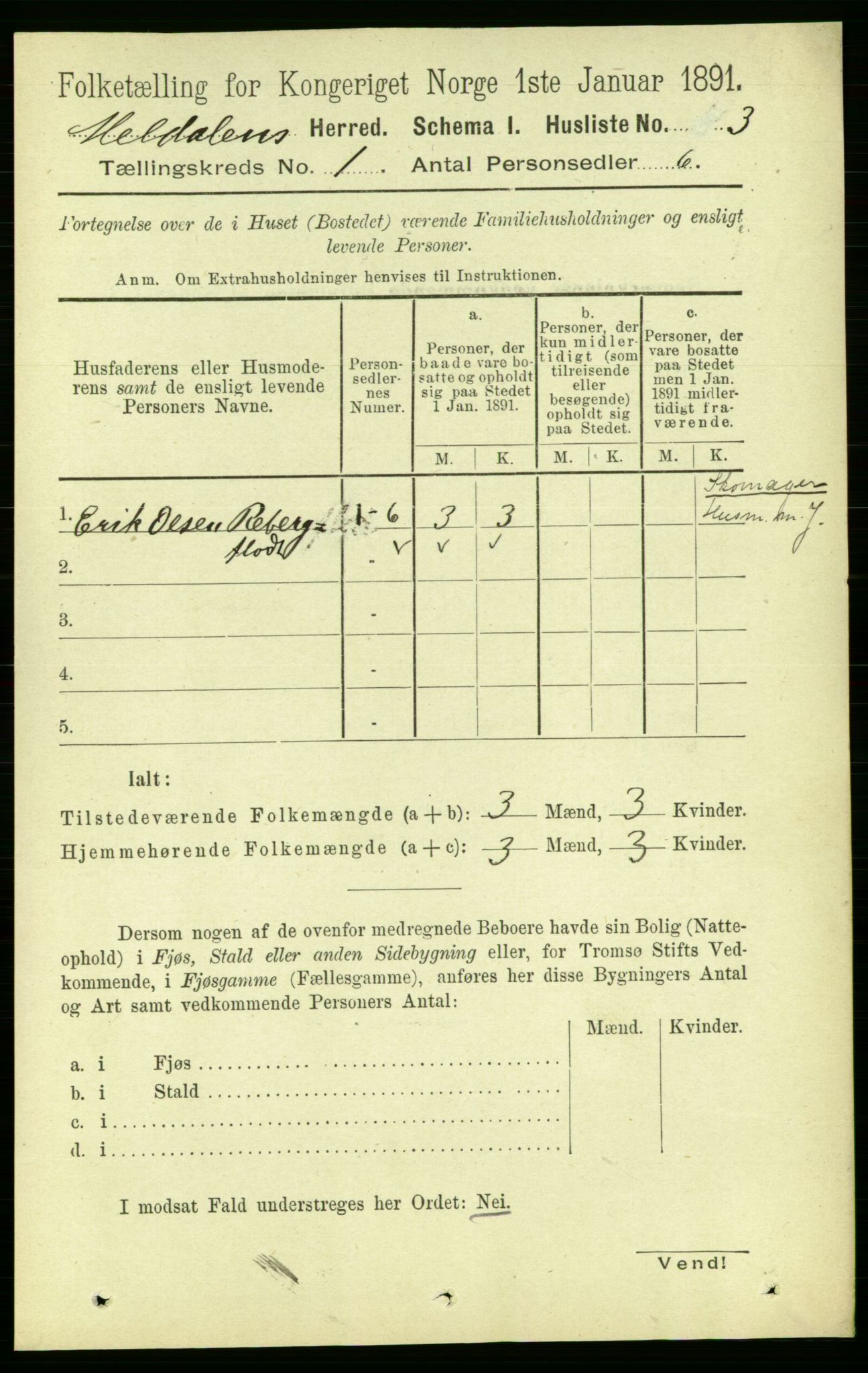 RA, 1891 census for 1636 Meldal, 1891, p. 29