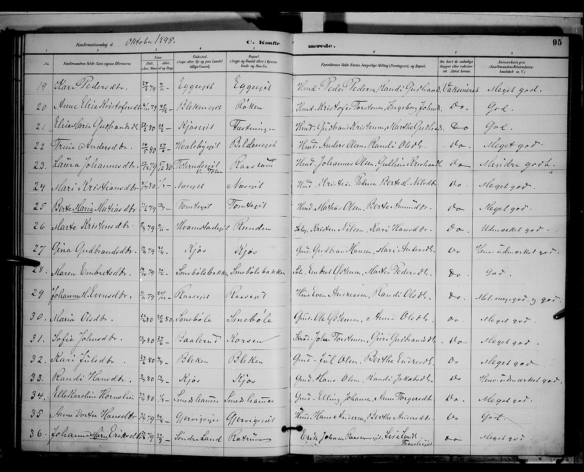 Gran prestekontor, SAH/PREST-112/H/Ha/Hab/L0004: Parish register (copy) no. 4, 1890-1899, p. 95