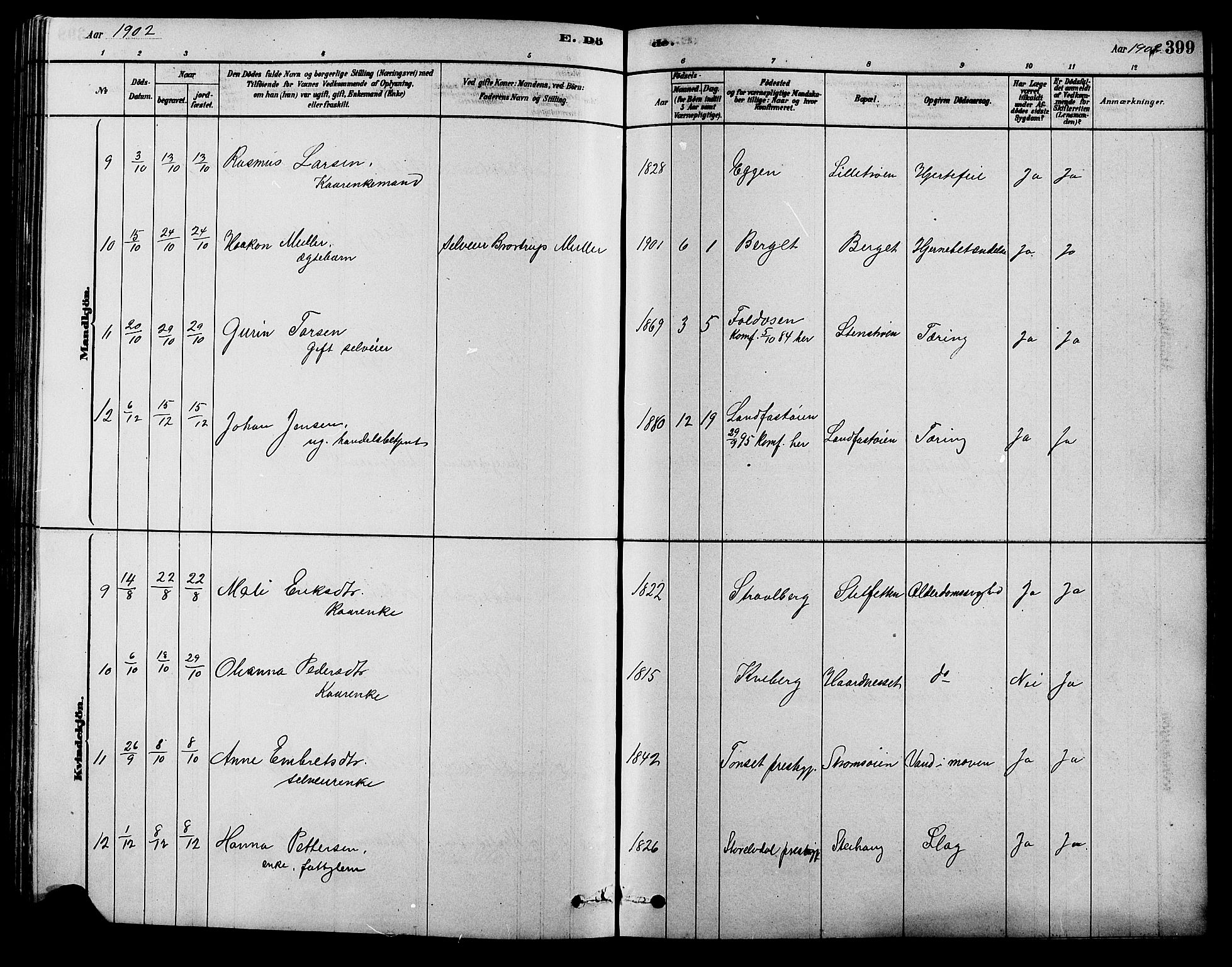Alvdal prestekontor, AV/SAH-PREST-060/H/Ha/Hab/L0003: Parish register (copy) no. 3, 1878-1907, p. 399