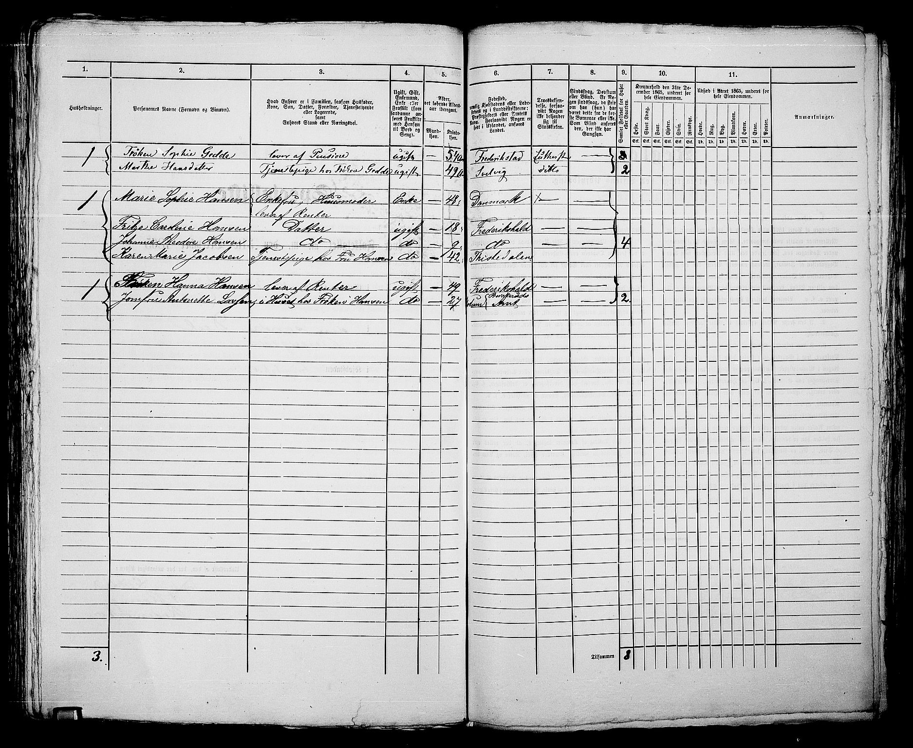 RA, 1865 census for Fredrikshald, 1865, p. 296