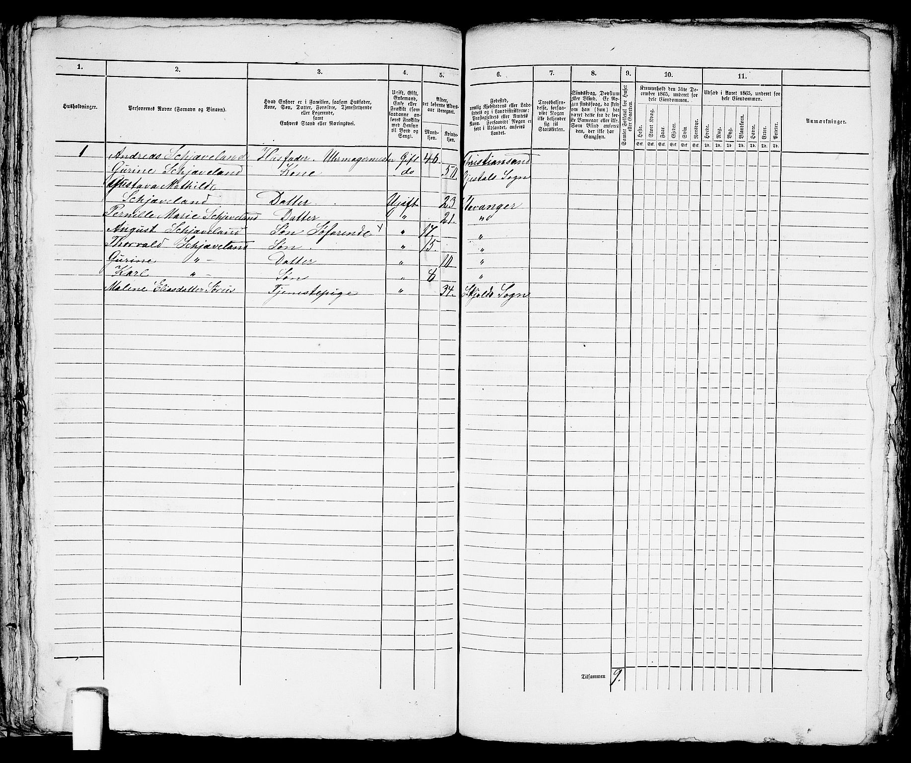 RA, 1865 census for Stavanger, 1865, p. 1616