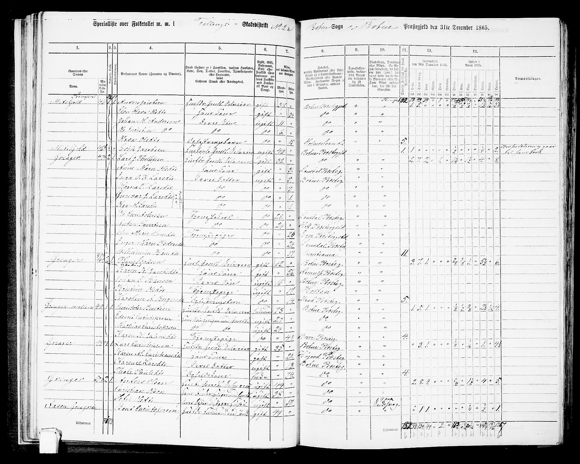 RA, 1865 census for Botne/Botne og Hillestad, 1865, p. 37