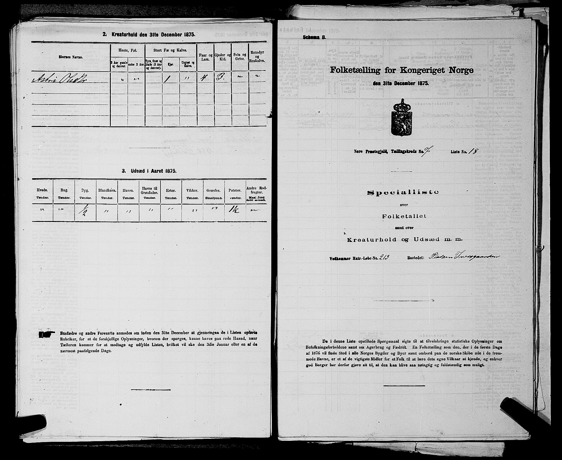 SAKO, 1875 census for 0633P Nore, 1875, p. 951