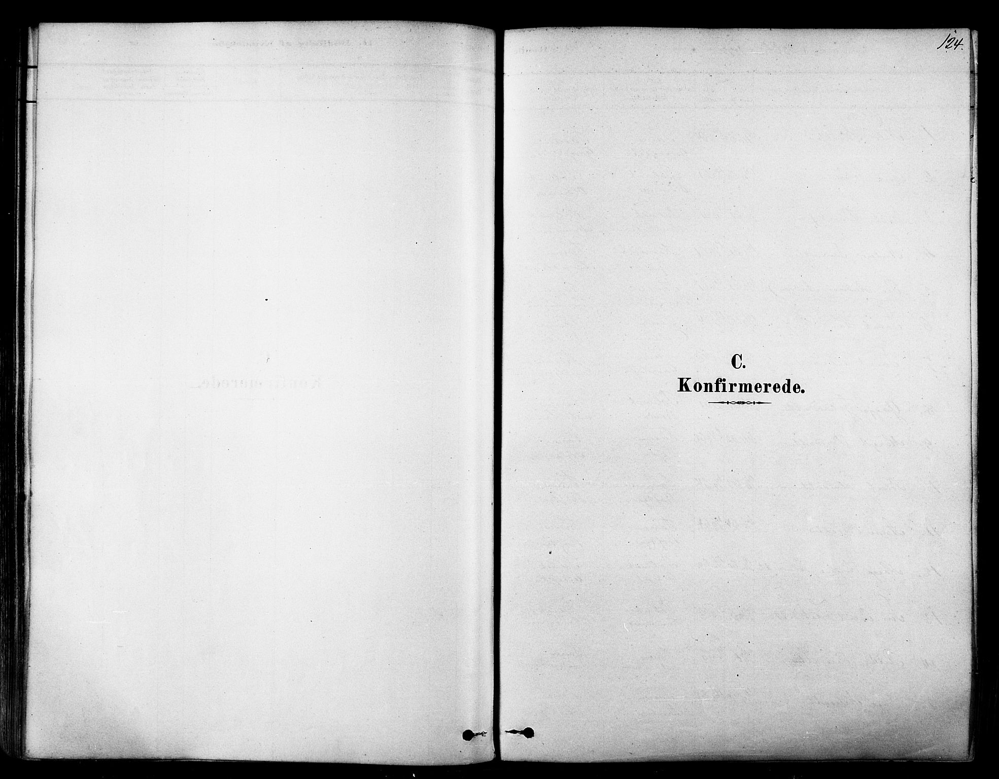 Tana sokneprestkontor, SATØ/S-1334/H/Ha/L0004kirke: Parish register (official) no. 4, 1878-1891, p. 124