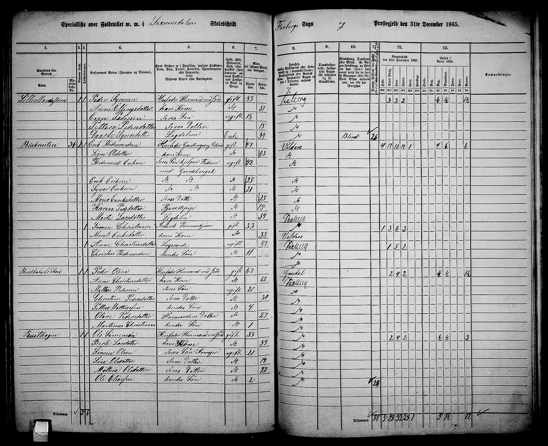 RA, 1865 census for Fåberg/Fåberg og Lillehammer, 1865, p. 221