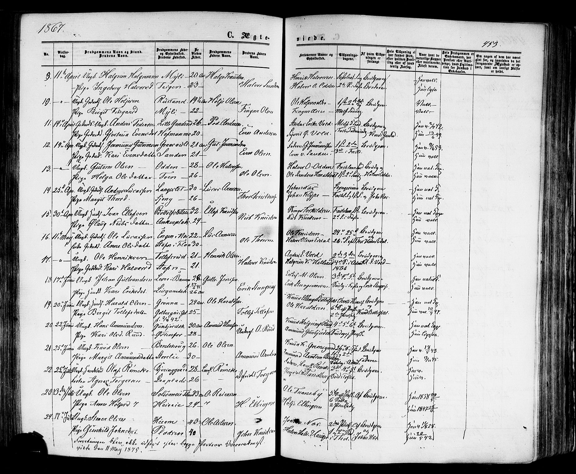Nes kirkebøker, SAKO/A-236/F/Fa/L0010: Parish register (official) no. 10, 1864-1880, p. 453