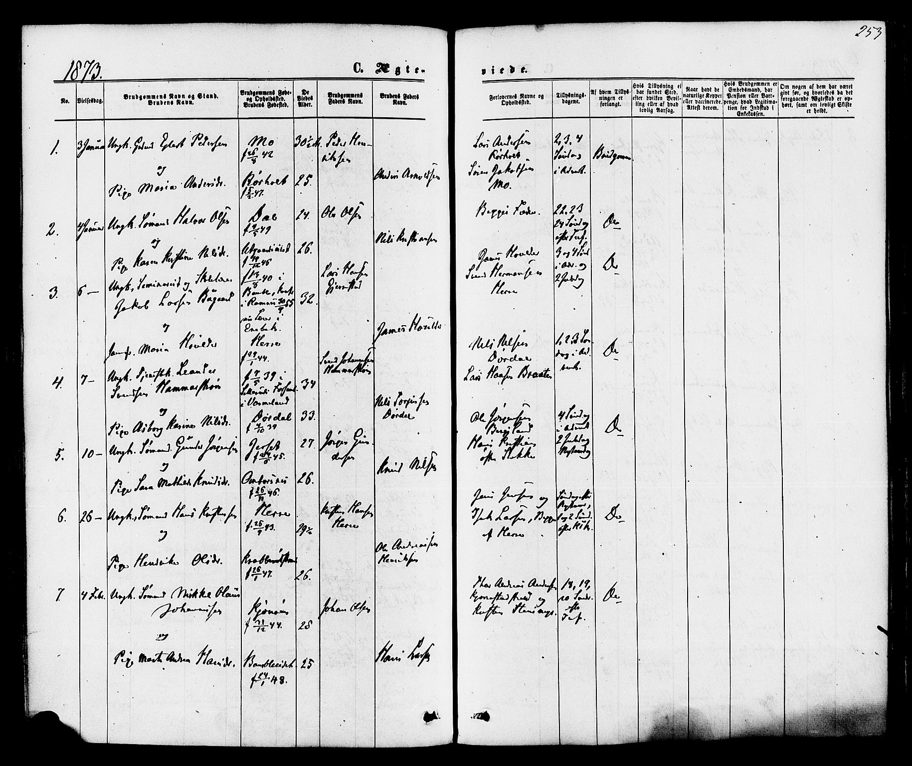 Bamble kirkebøker, SAKO/A-253/F/Fa/L0006: Parish register (official) no. I 6, 1869-1877, p. 253