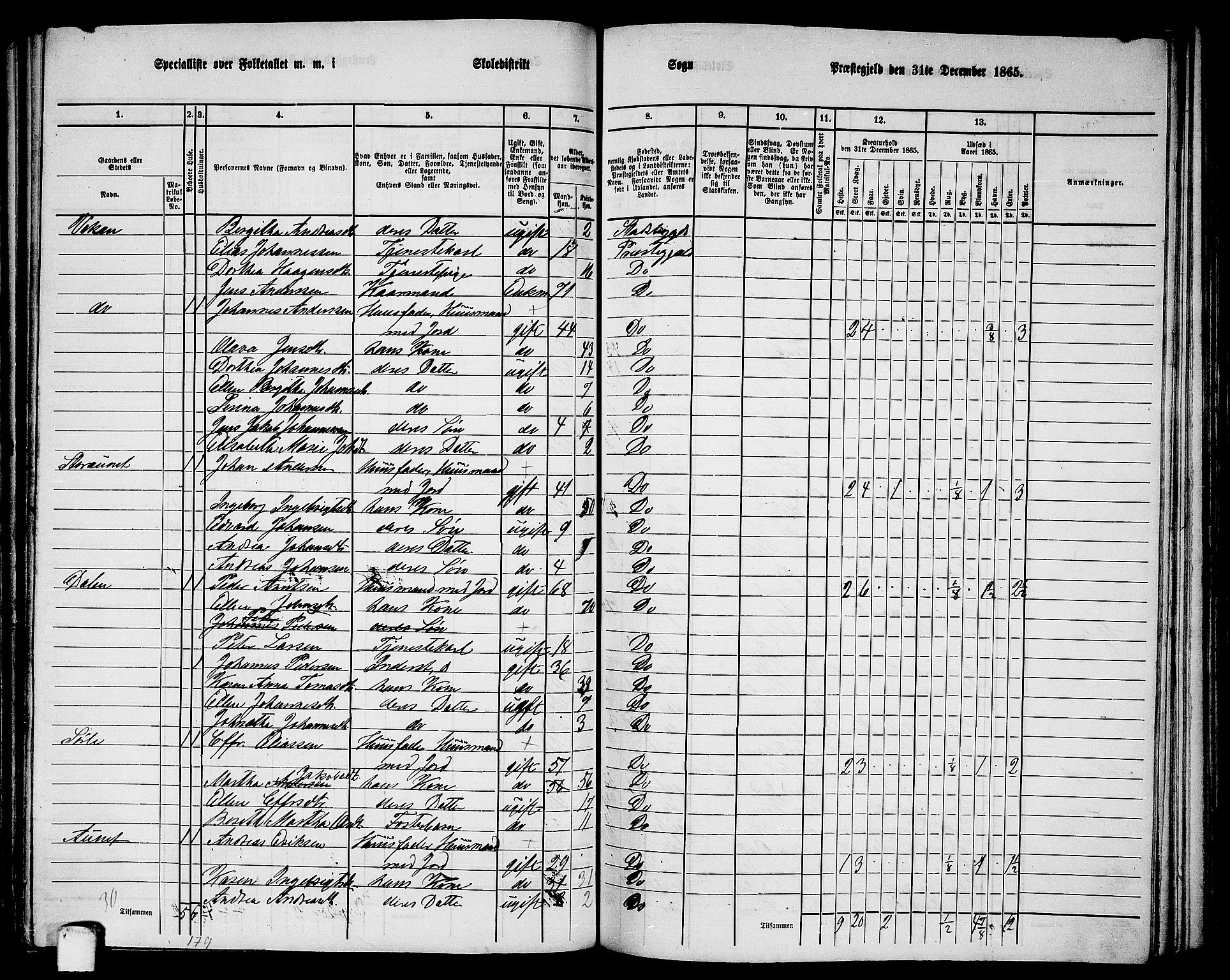 RA, 1865 census for Stadsbygd, 1865, p. 132
