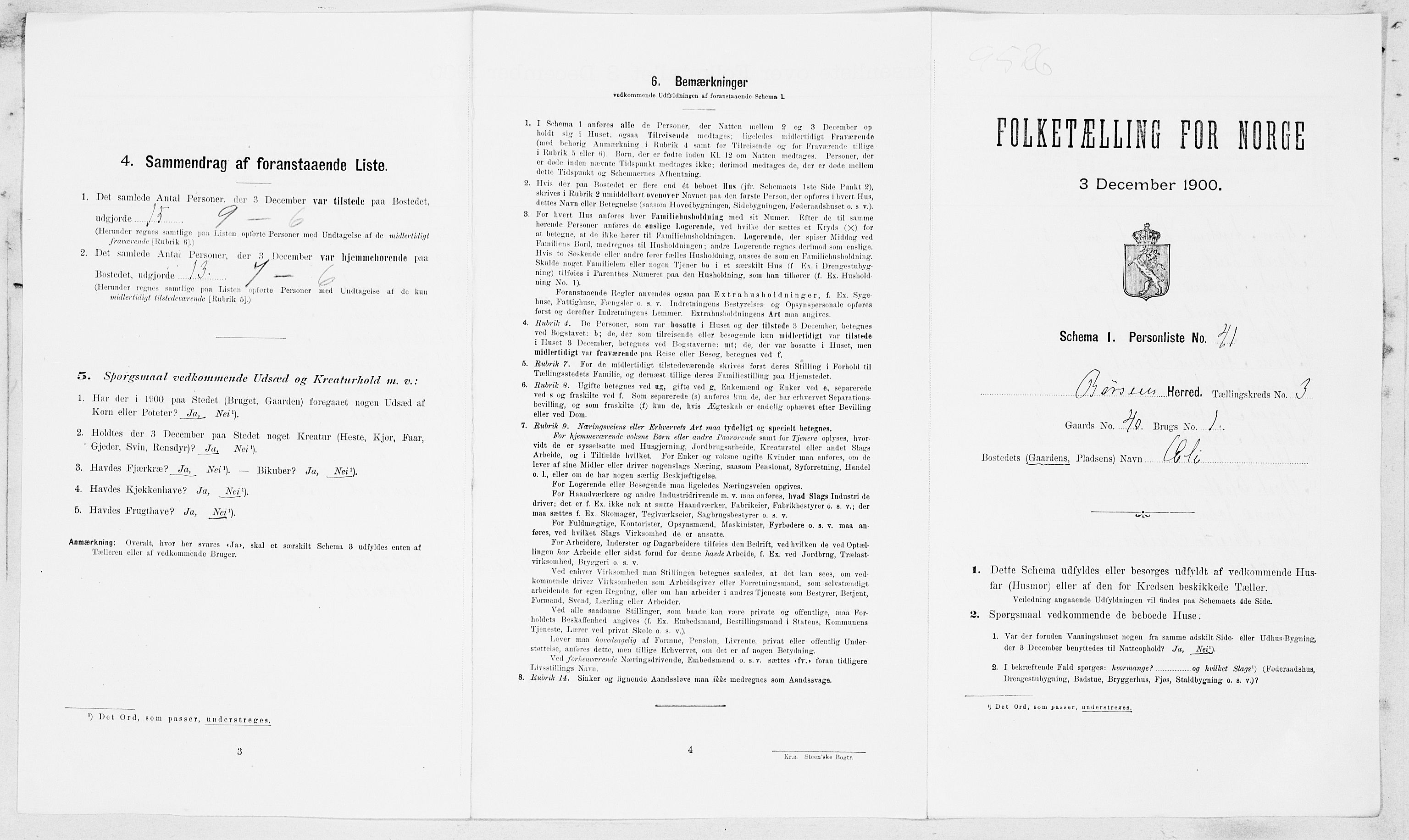 SAT, 1900 census for Børsa, 1900, p. 310