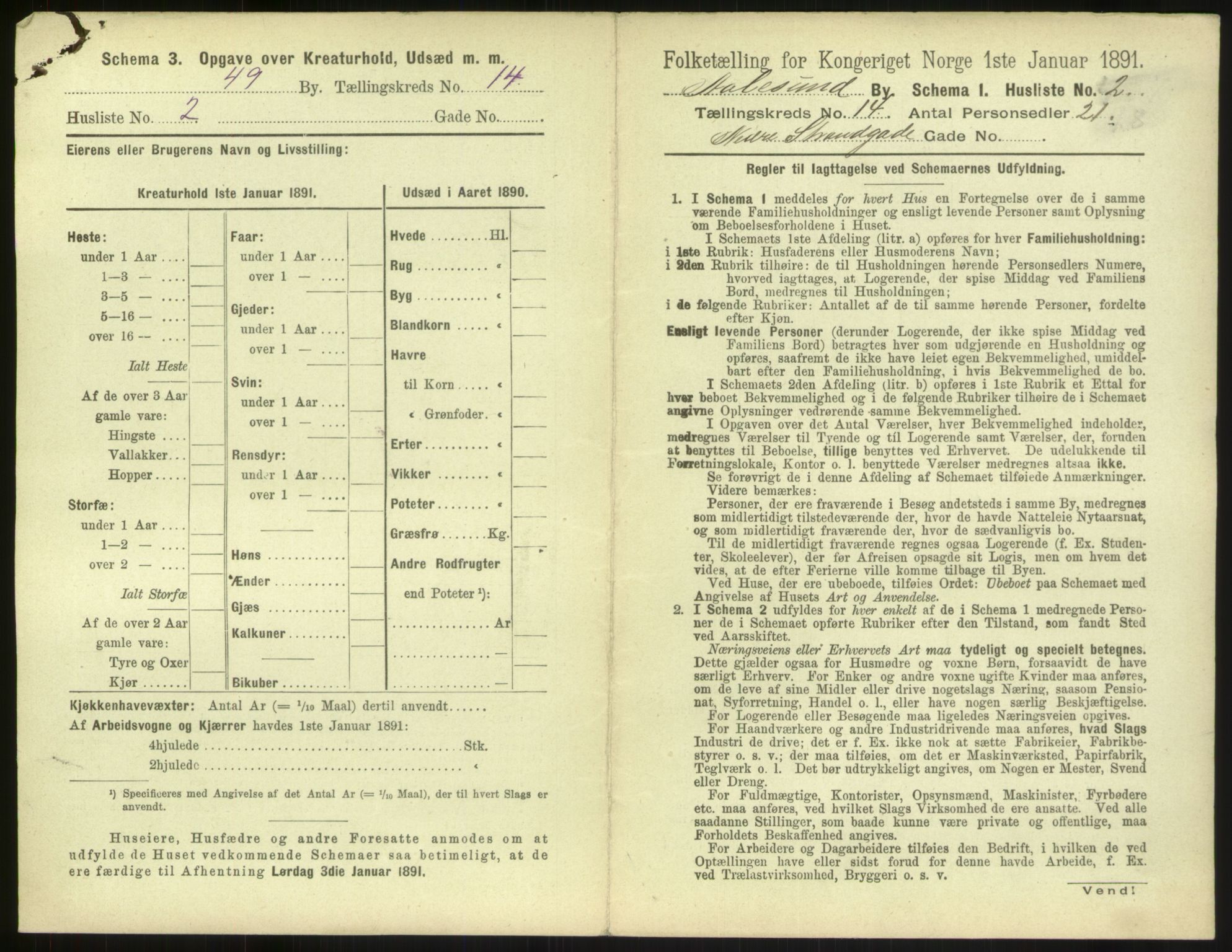 RA, 1891 census for 1501 Ålesund, 1891, p. 960