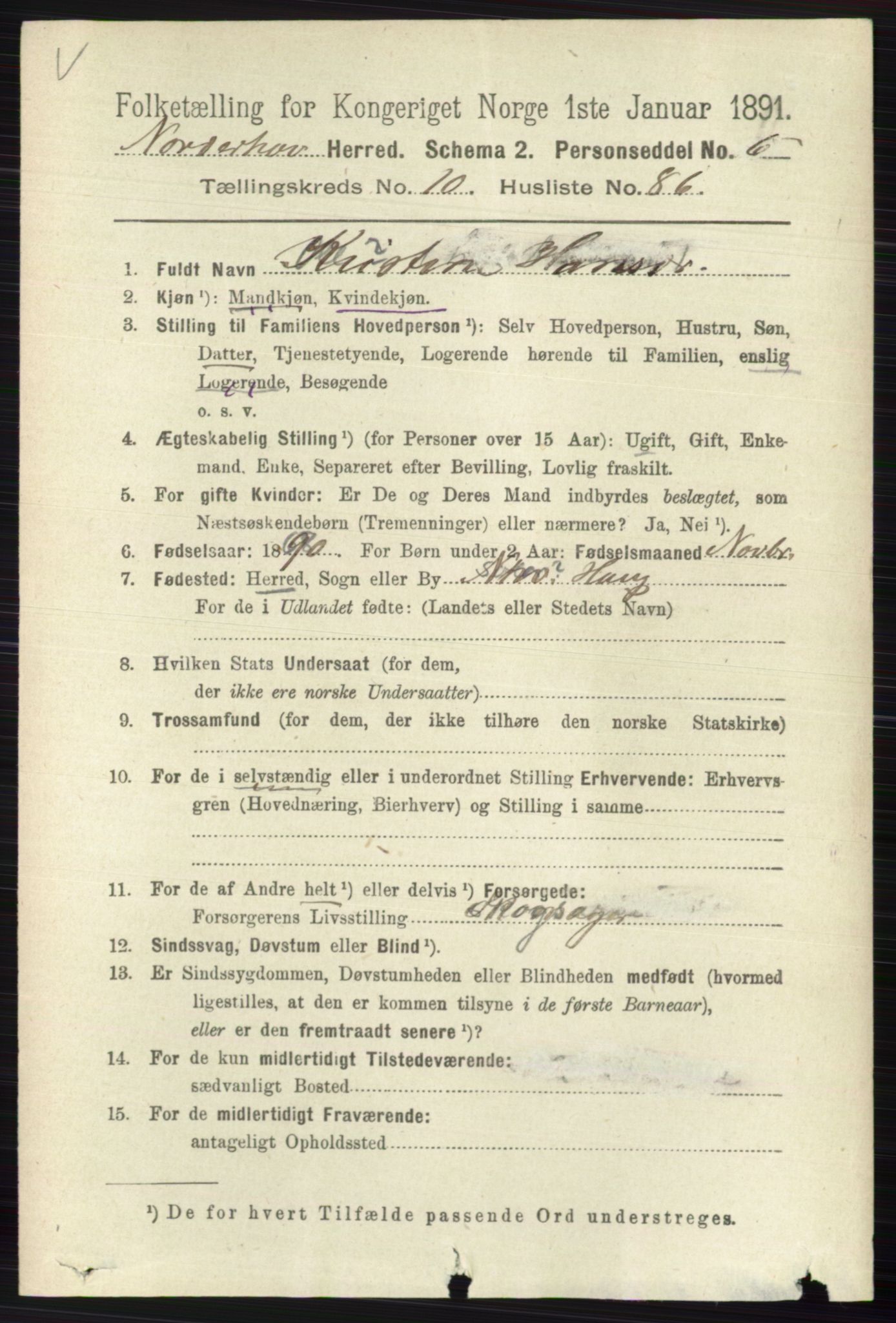 RA, 1891 census for 0613 Norderhov, 1891, p. 7988