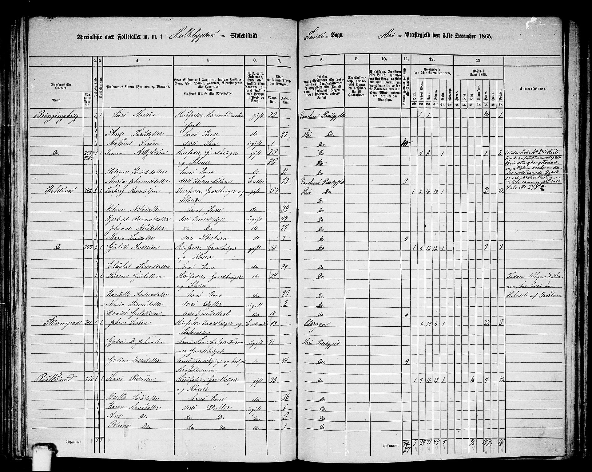 RA, 1865 census for Herøy, 1865, p. 126