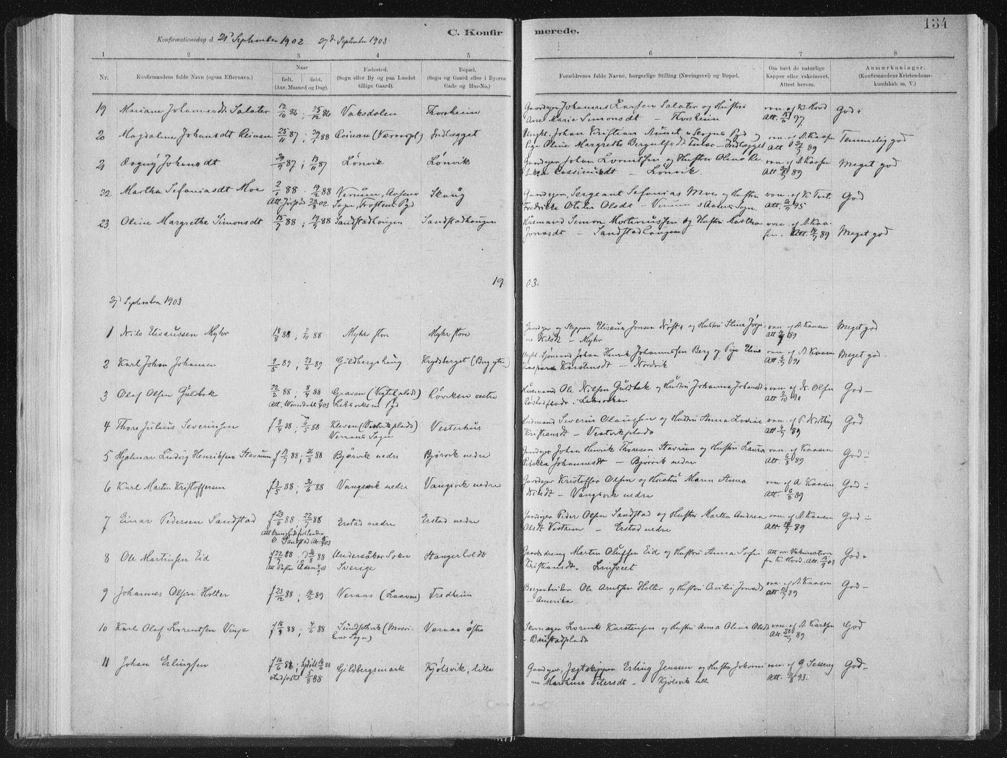 Ministerialprotokoller, klokkerbøker og fødselsregistre - Nord-Trøndelag, AV/SAT-A-1458/722/L0220: Parish register (official) no. 722A07, 1881-1908, p. 134