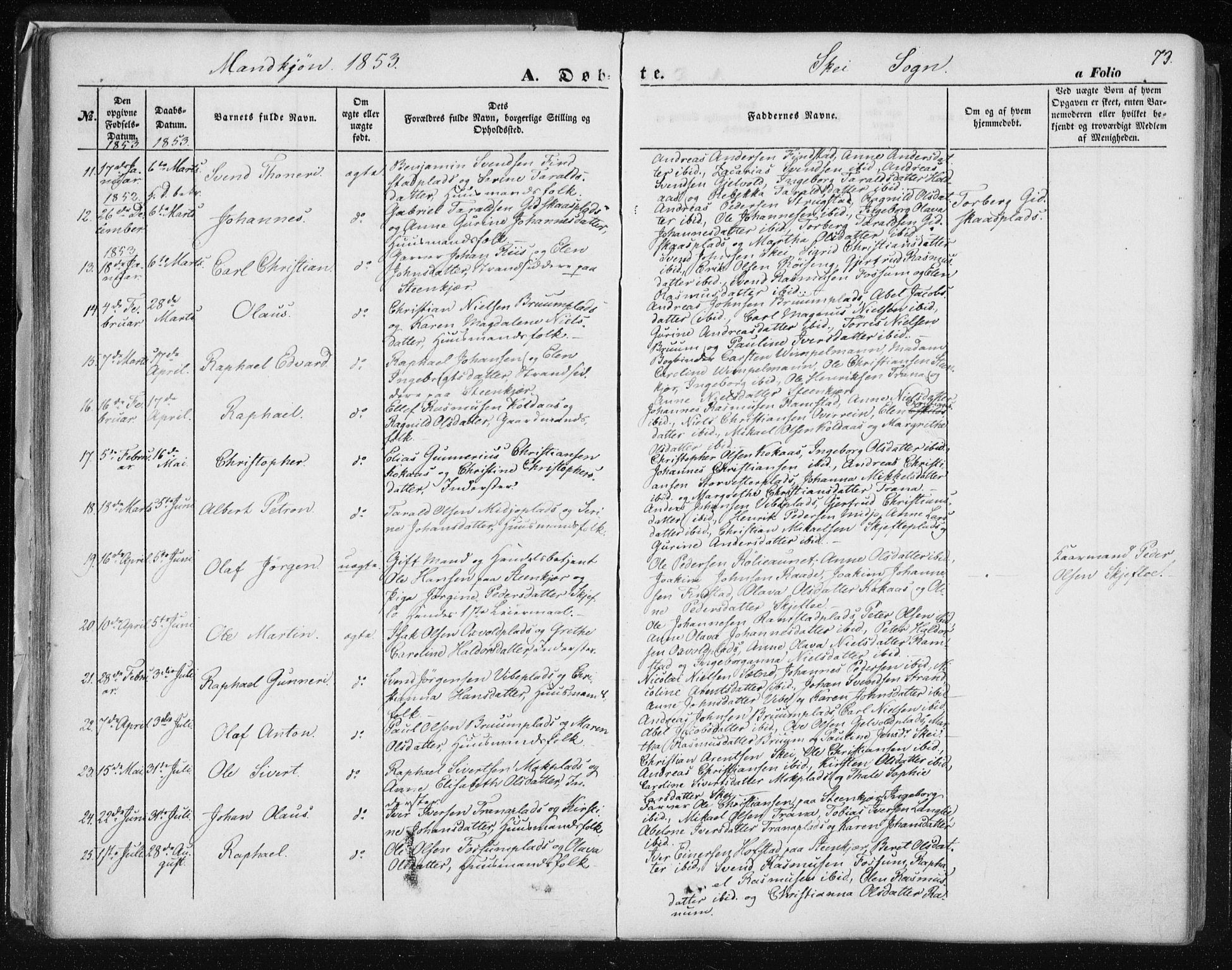 Ministerialprotokoller, klokkerbøker og fødselsregistre - Nord-Trøndelag, SAT/A-1458/735/L0342: Parish register (official) no. 735A07 /2, 1849-1862, p. 73
