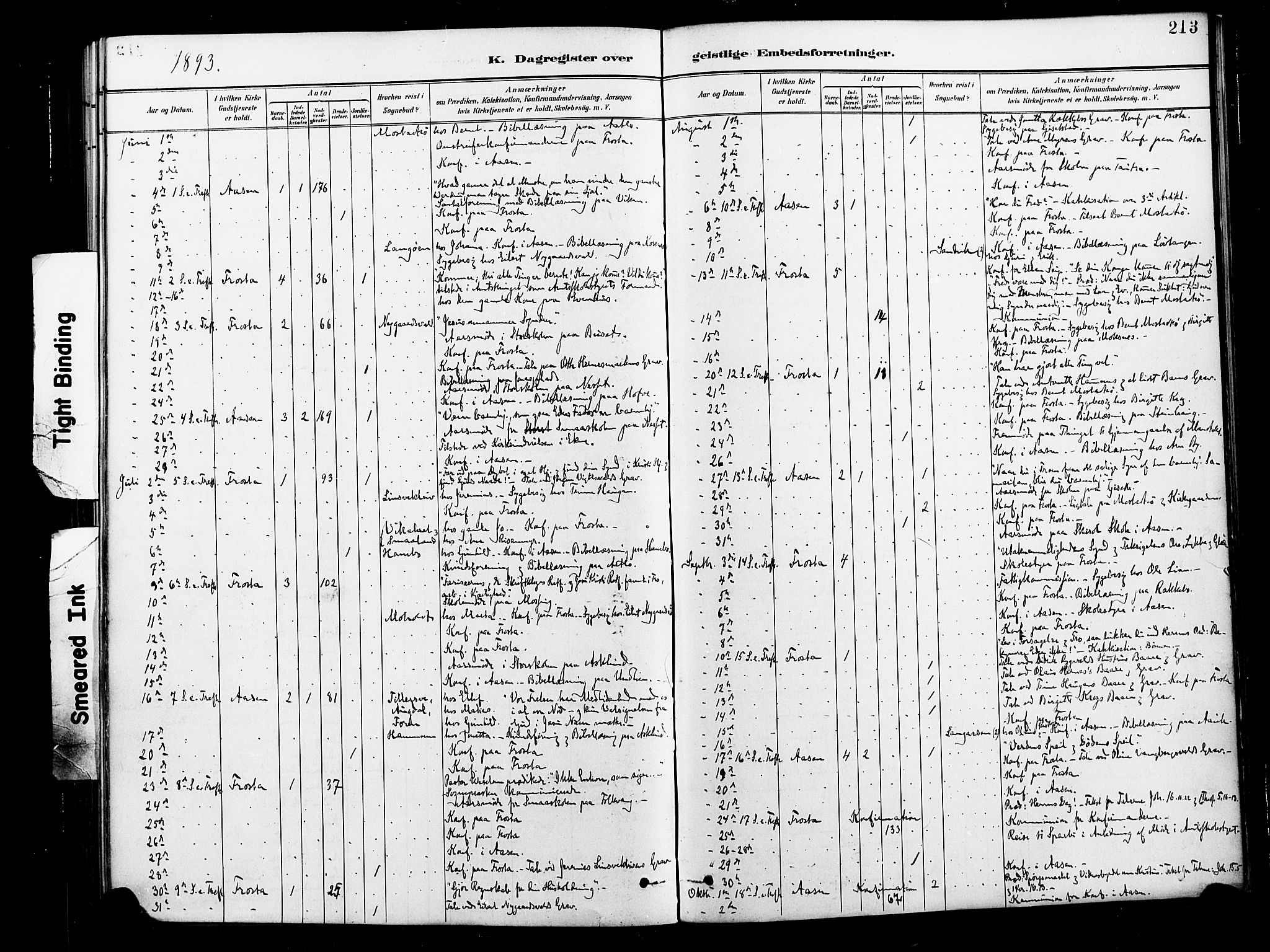 Ministerialprotokoller, klokkerbøker og fødselsregistre - Nord-Trøndelag, SAT/A-1458/713/L0121: Parish register (official) no. 713A10, 1888-1898, p. 213