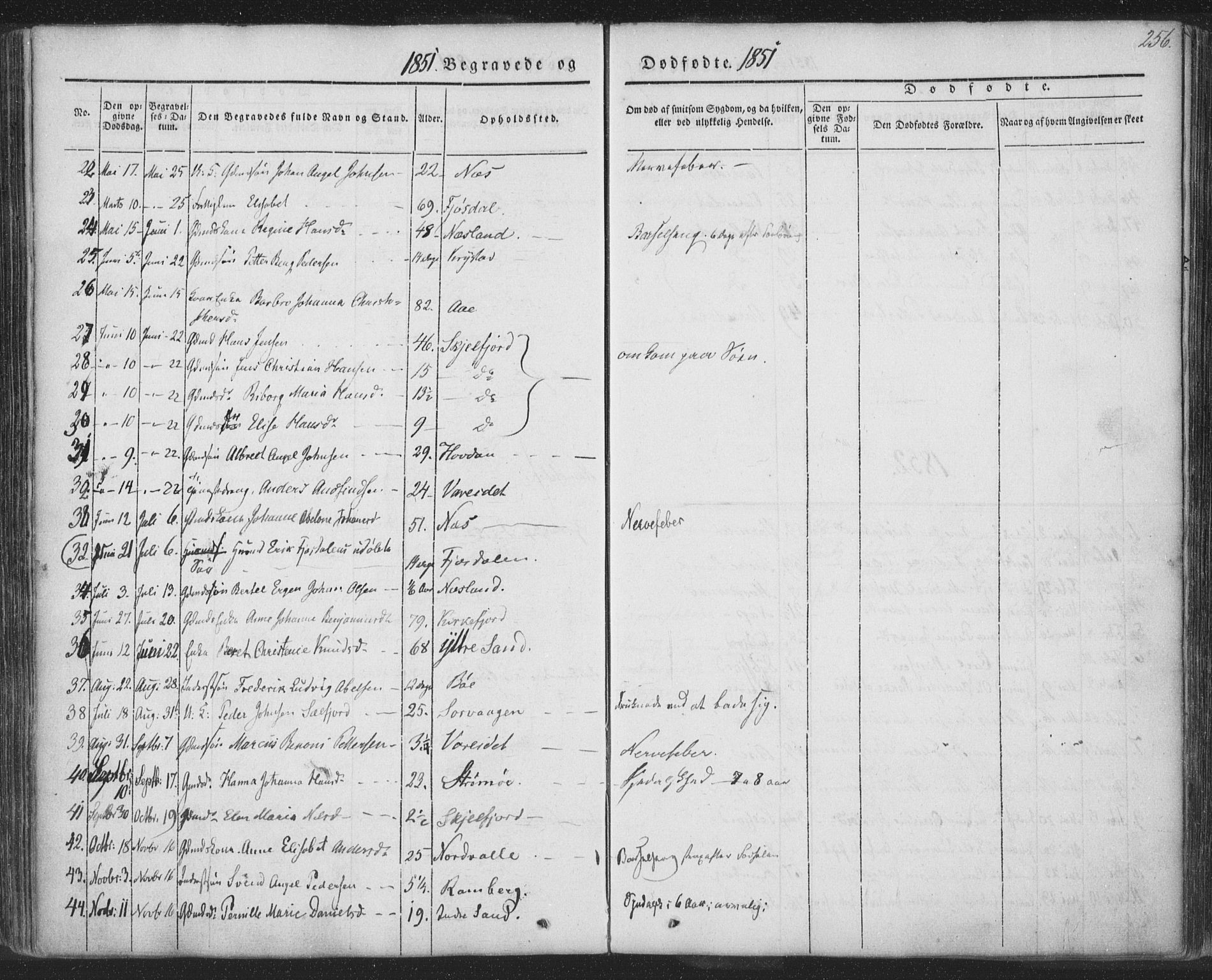 Ministerialprotokoller, klokkerbøker og fødselsregistre - Nordland, AV/SAT-A-1459/885/L1202: Parish register (official) no. 885A03, 1838-1859, p. 256