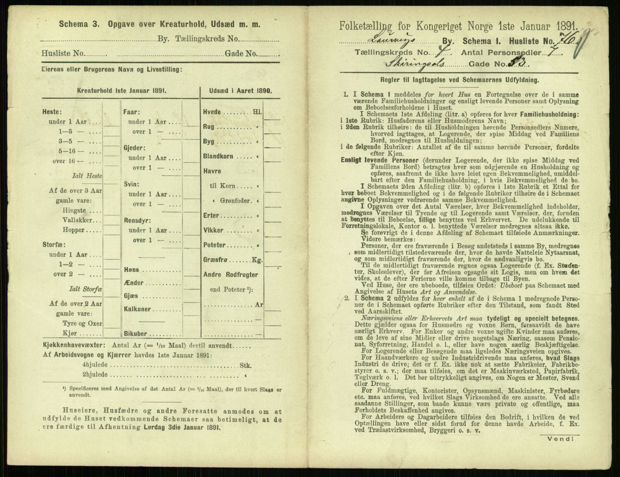 RA, 1891 census for 0707 Larvik, 1891, p. 685