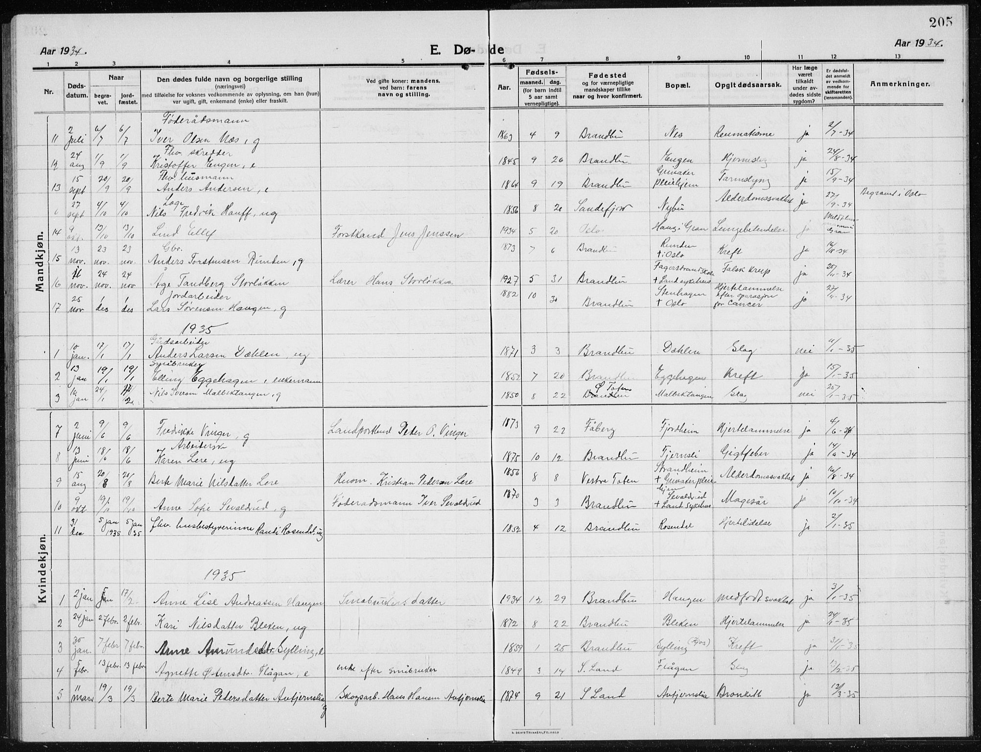 Brandbu prestekontor, SAH/PREST-114/H/Ha/Hab/L0001: Parish register (copy) no. 1, 1914-1937, p. 205