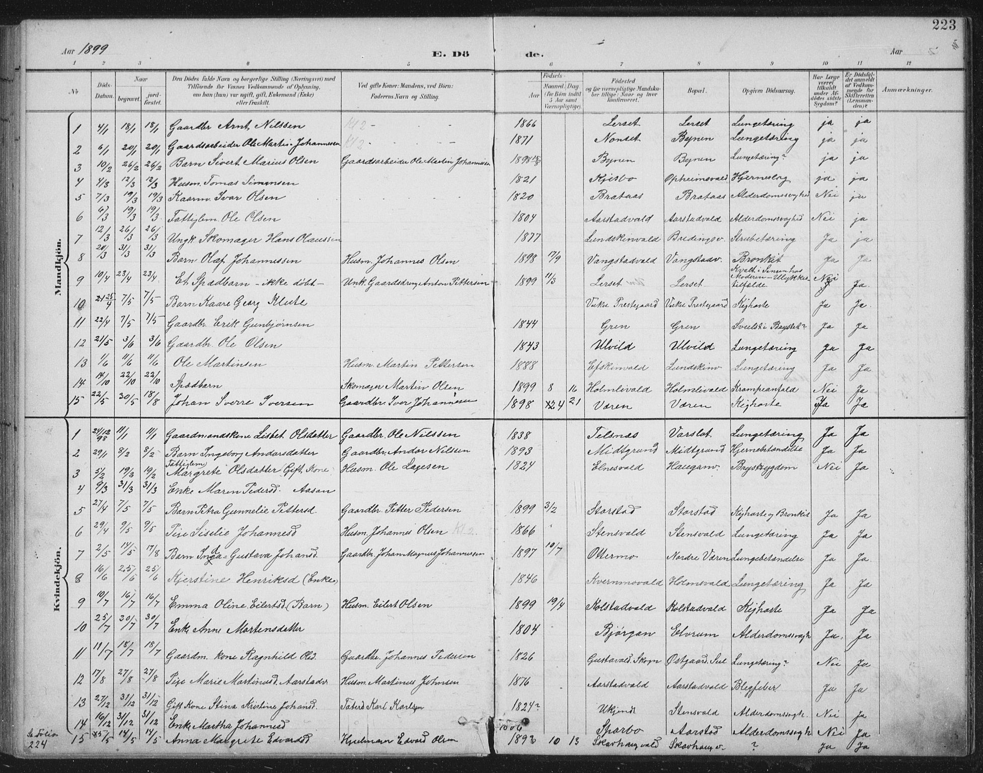 Ministerialprotokoller, klokkerbøker og fødselsregistre - Nord-Trøndelag, SAT/A-1458/724/L0269: Parish register (copy) no. 724C05, 1899-1920, p. 223